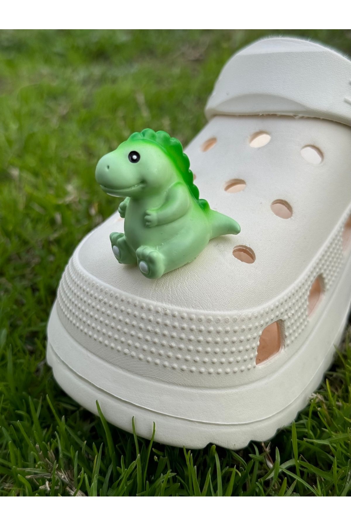 Crocs Dinozor Terlik Süsü/Dino Aksesuar/Figür Terlik Charm/ Terlik Charmı