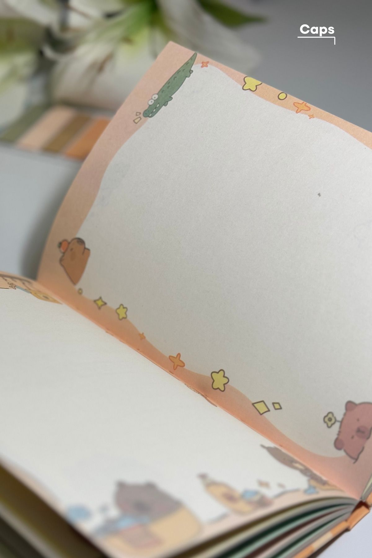 caps-Cappybara Line and Fun Notebook - 160 Sheets - 13 X 18.6 cm 5