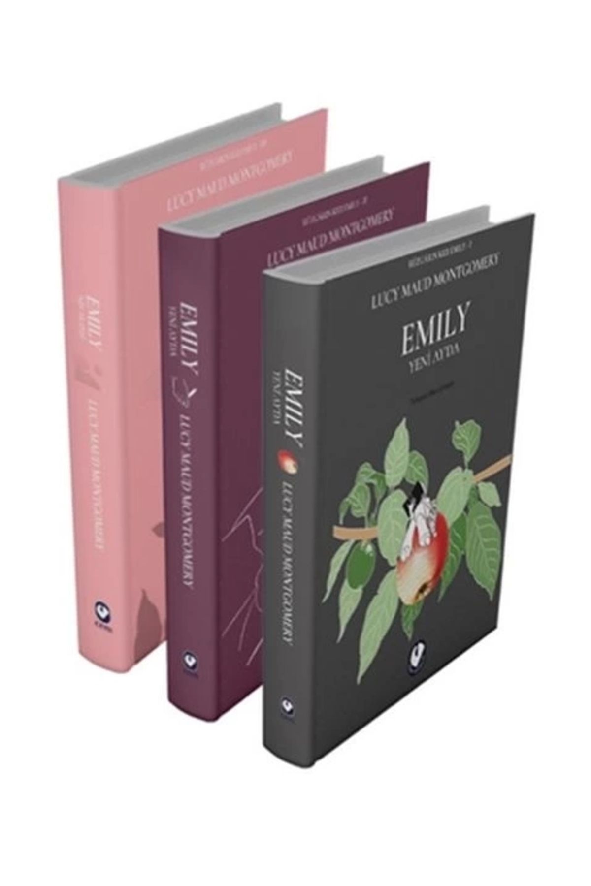 Cem Yayınevi Rüzgârın Kızı Emily Serisi (3 Kitap)