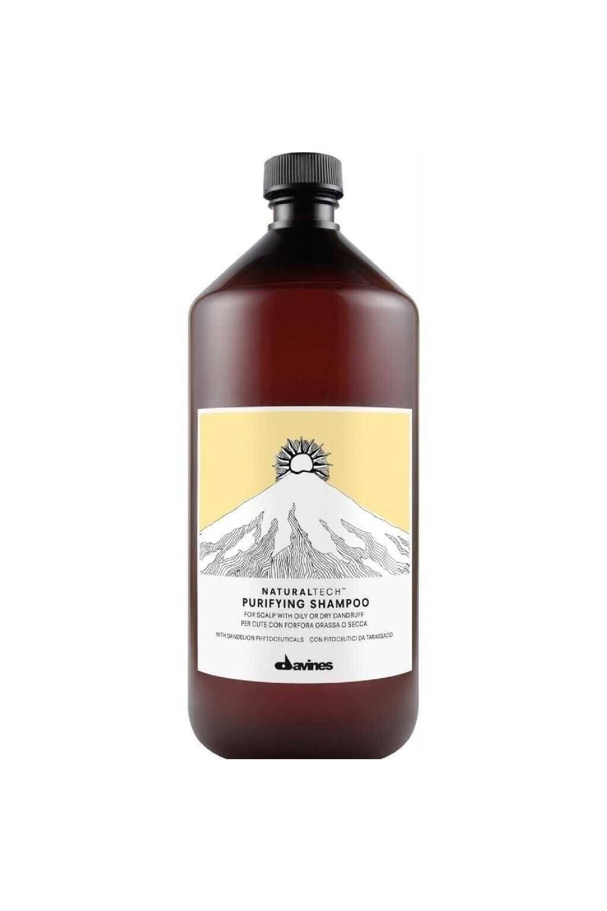 Davines Purifying Davines Yağlı ve Kuru Saçlar için Kepek Şampuanı 1000 ml