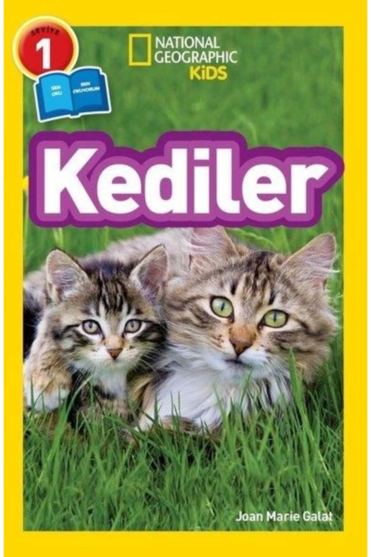 NessiWorld Kids - Kediler