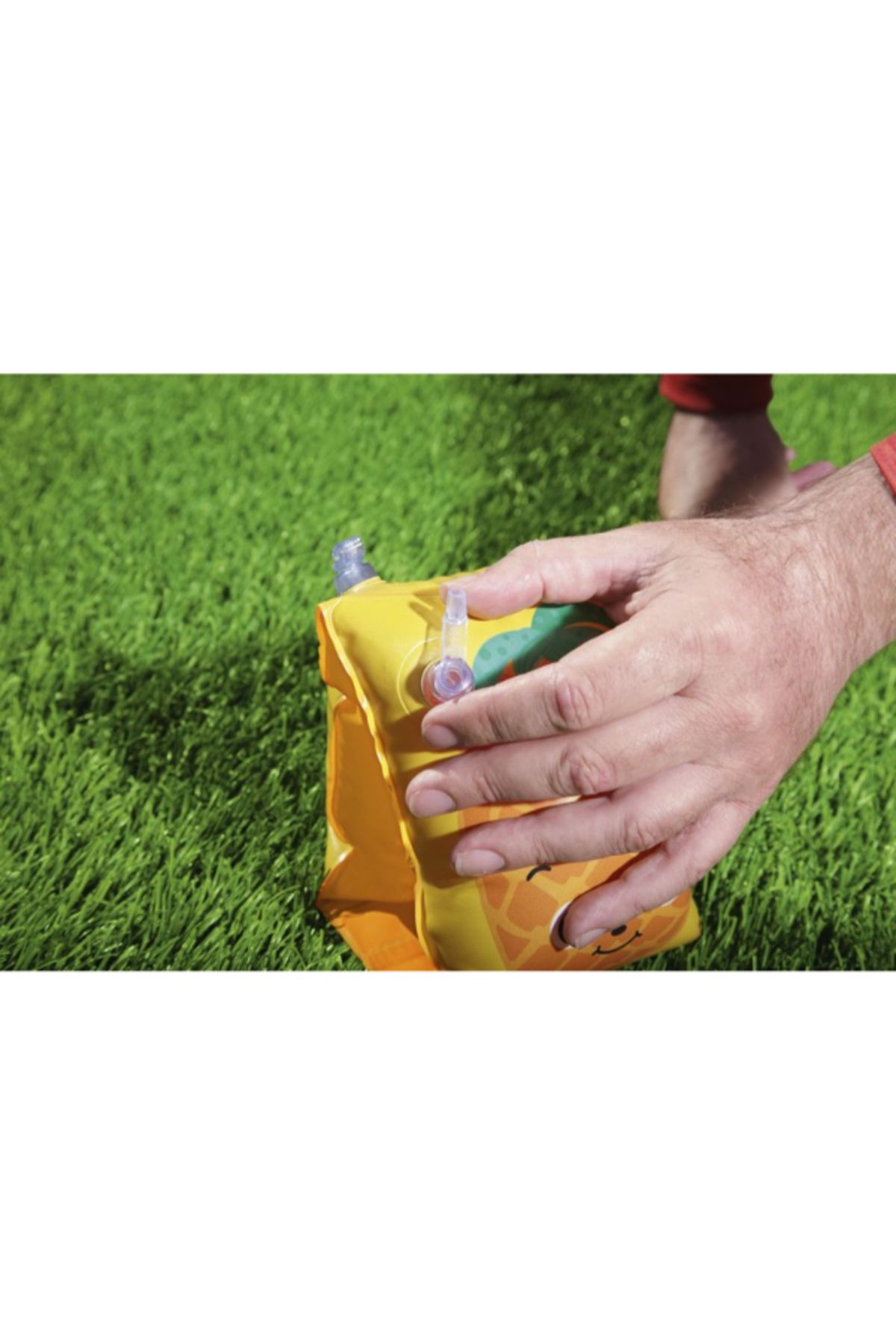 BESTWAY-Fruitastic Arm Bands 23X15Cm -26-32042 8