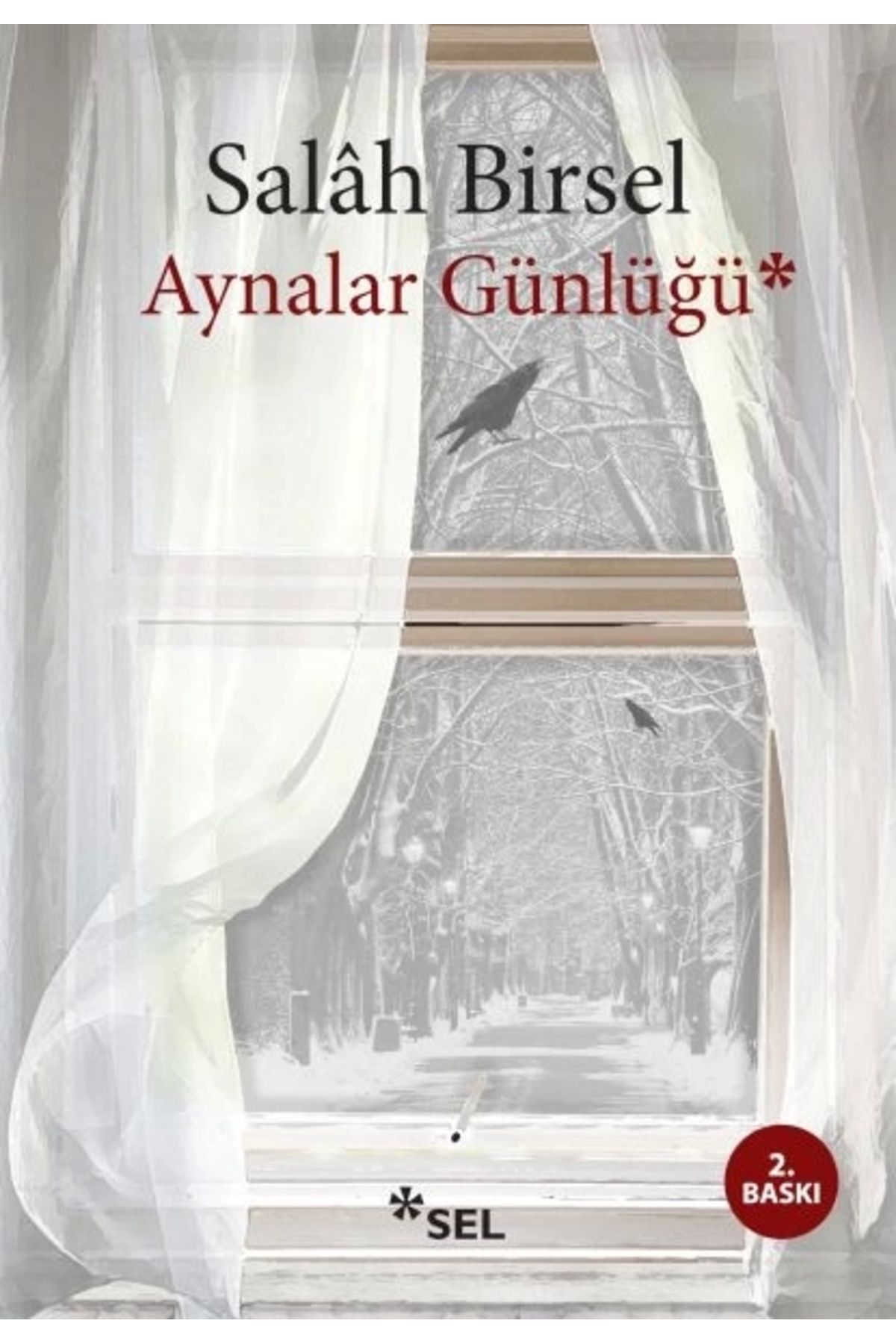 Sel Yayınları Aynalar Günlüğü