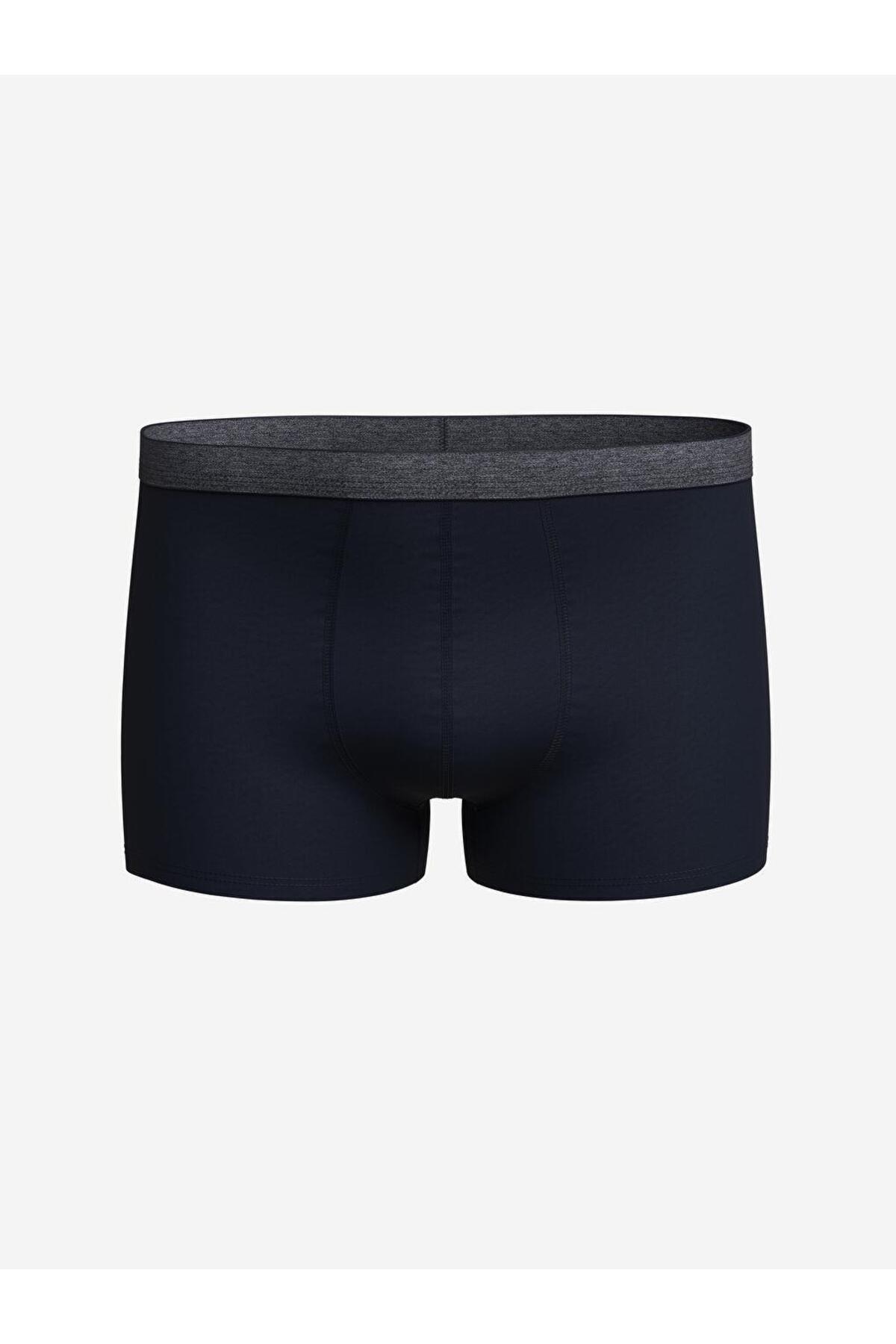 LC Waikiki-Standard Mold Cotton Flexible Men's Boxers 3-Piece 2