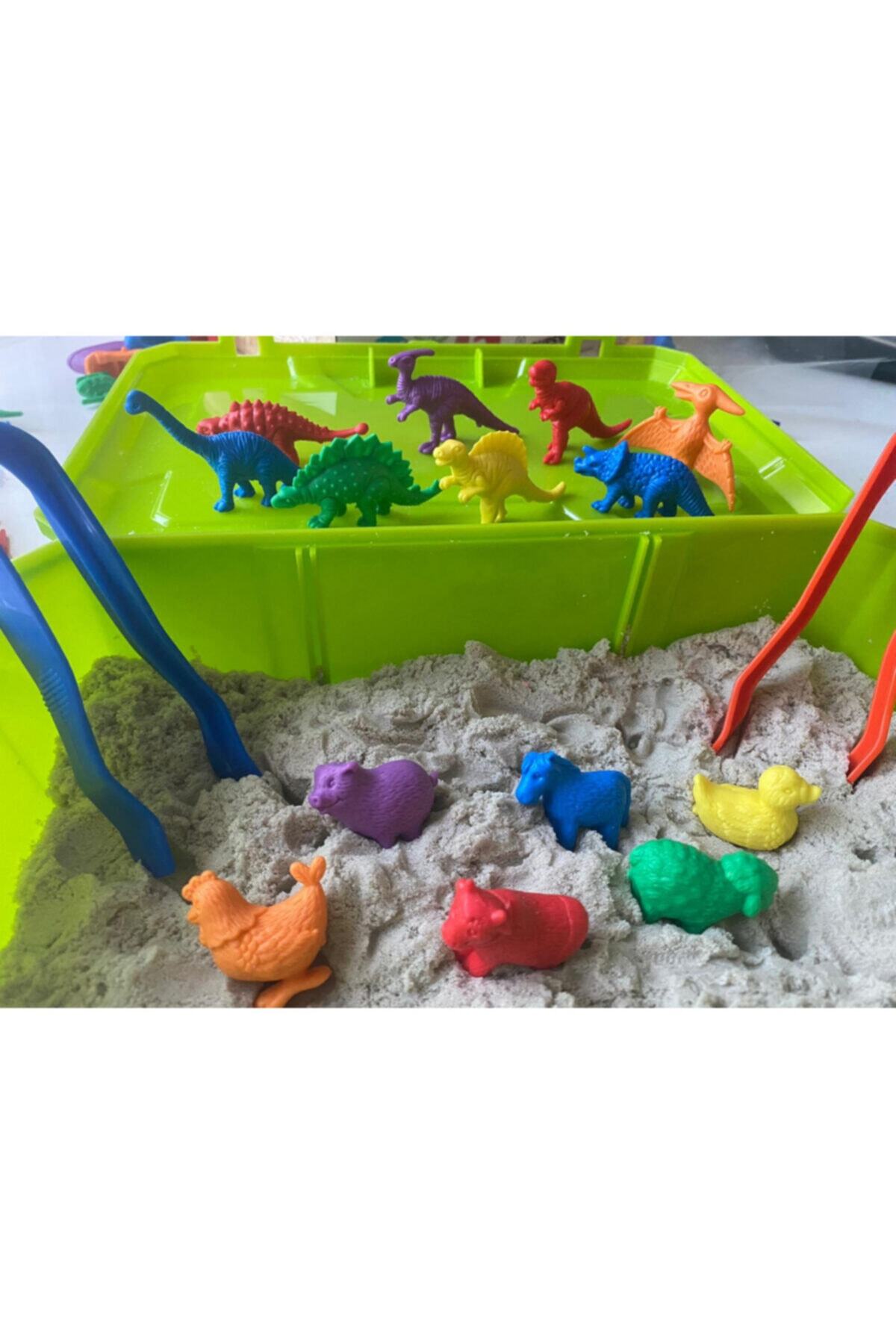EDX Büyük Aktivite Kutusu Montessori Materyali Dinozorlar Ve Çiftlik Hayvanları fotoğrafı 4 (önizleme)