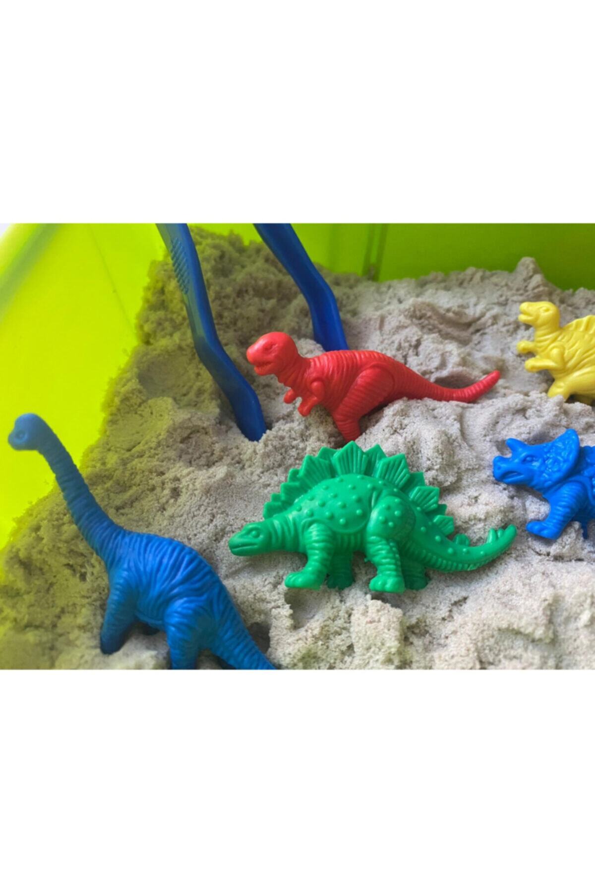 EDX Büyük Aktivite Kutusu Montessori Materyali Dinozorlar Ve Çiftlik Hayvanları fotoğrafı 5 (önizleme)