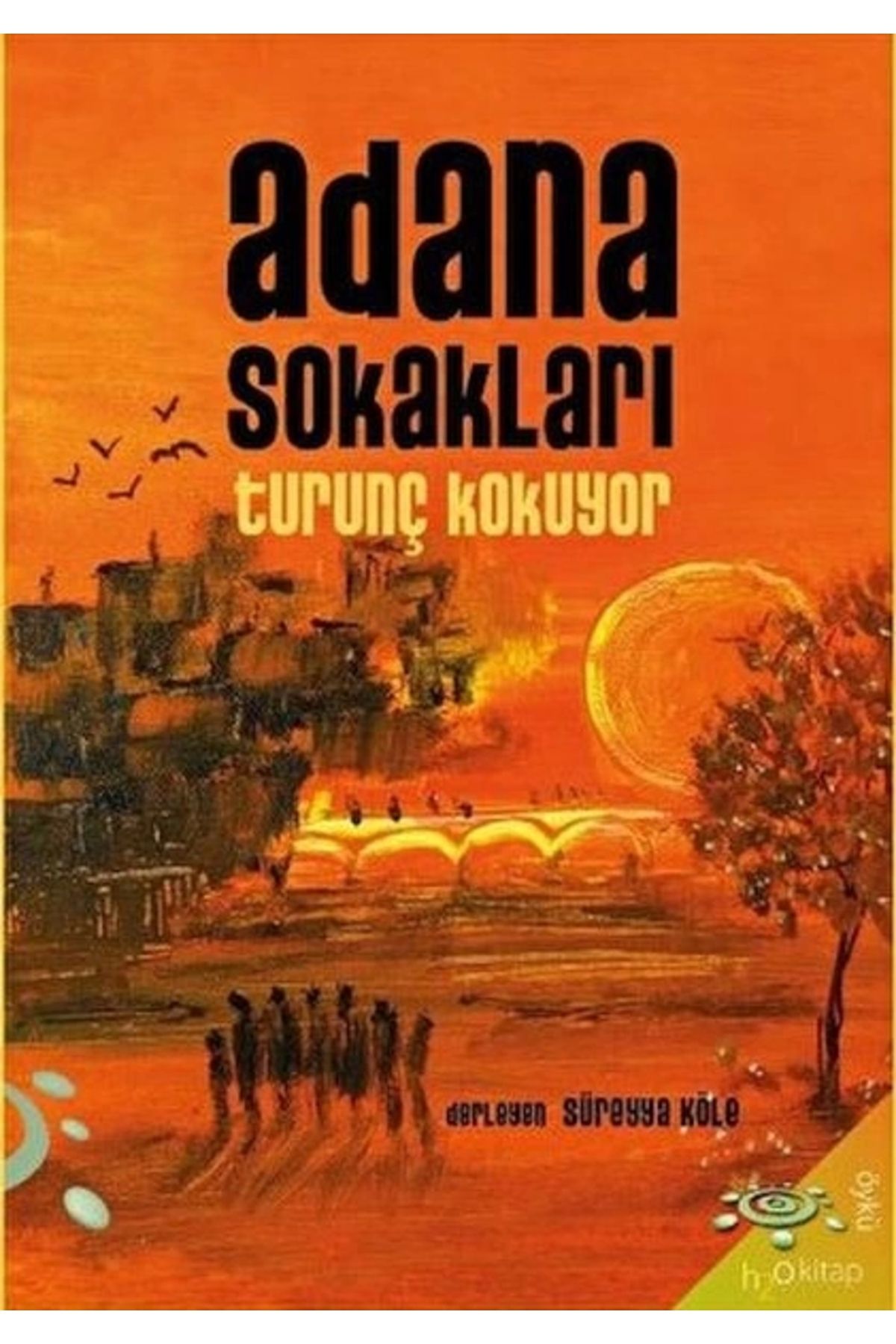 h2o Kitap Adana Sokakları Turunç Kokuyor