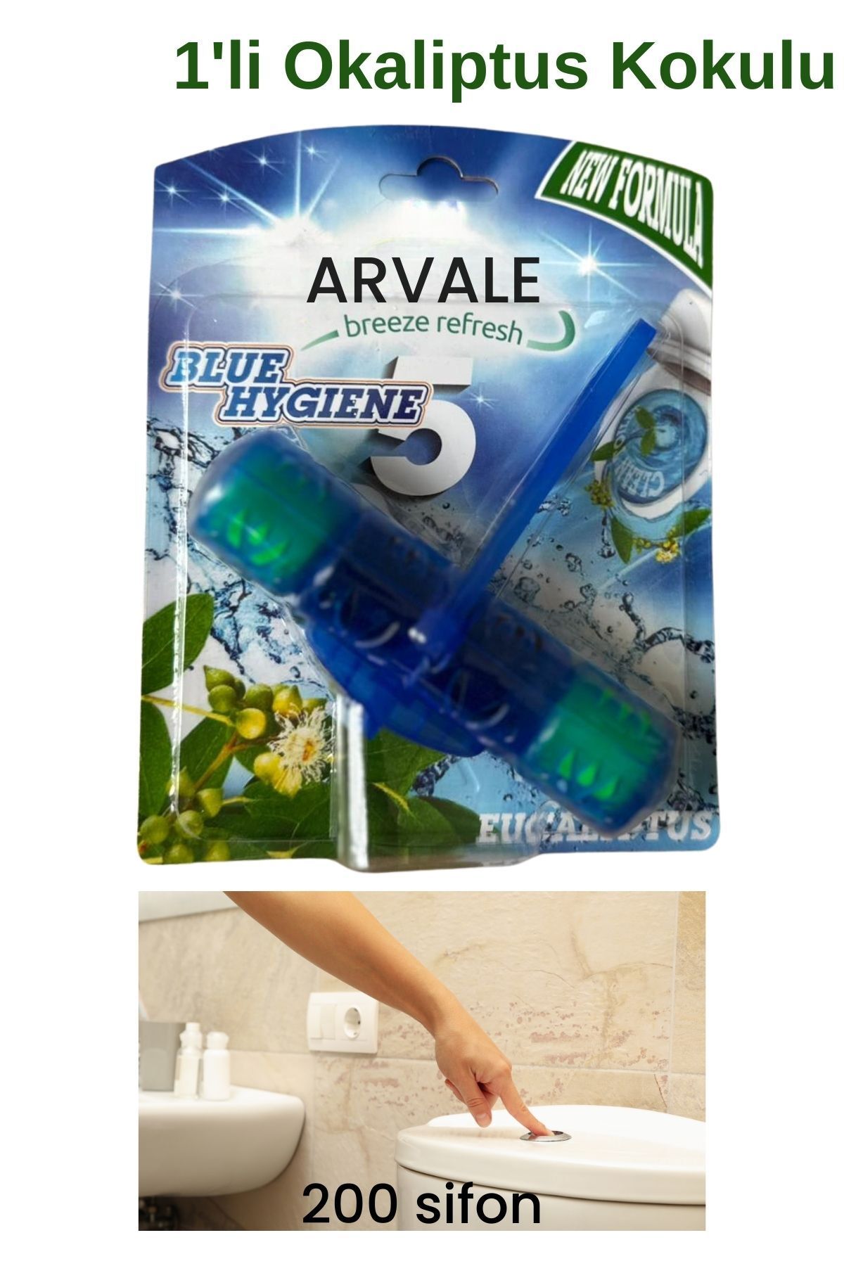 ARVALE 1'li Okaliptus Kokulu Wc Bloğu | 1 x 50 gr