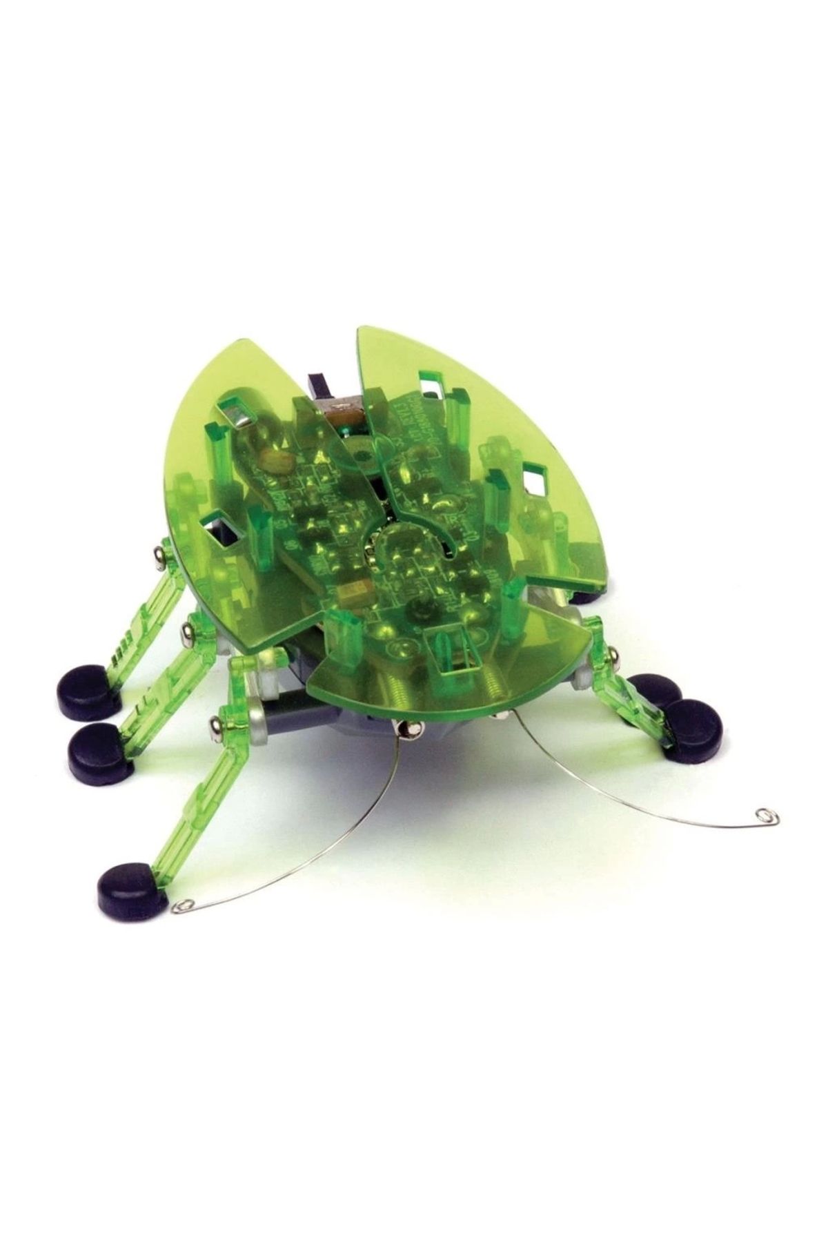 Basic Fun Çocuk Hexbug Mikro Robot Böcek