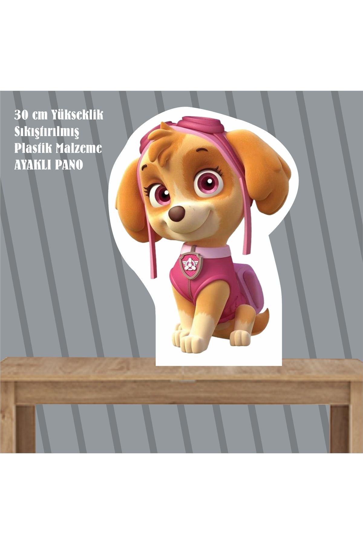 SİYAH PARTİ EVİ Skye Paw Patrol Doğum Günü Ayaklı Pano 30 cm