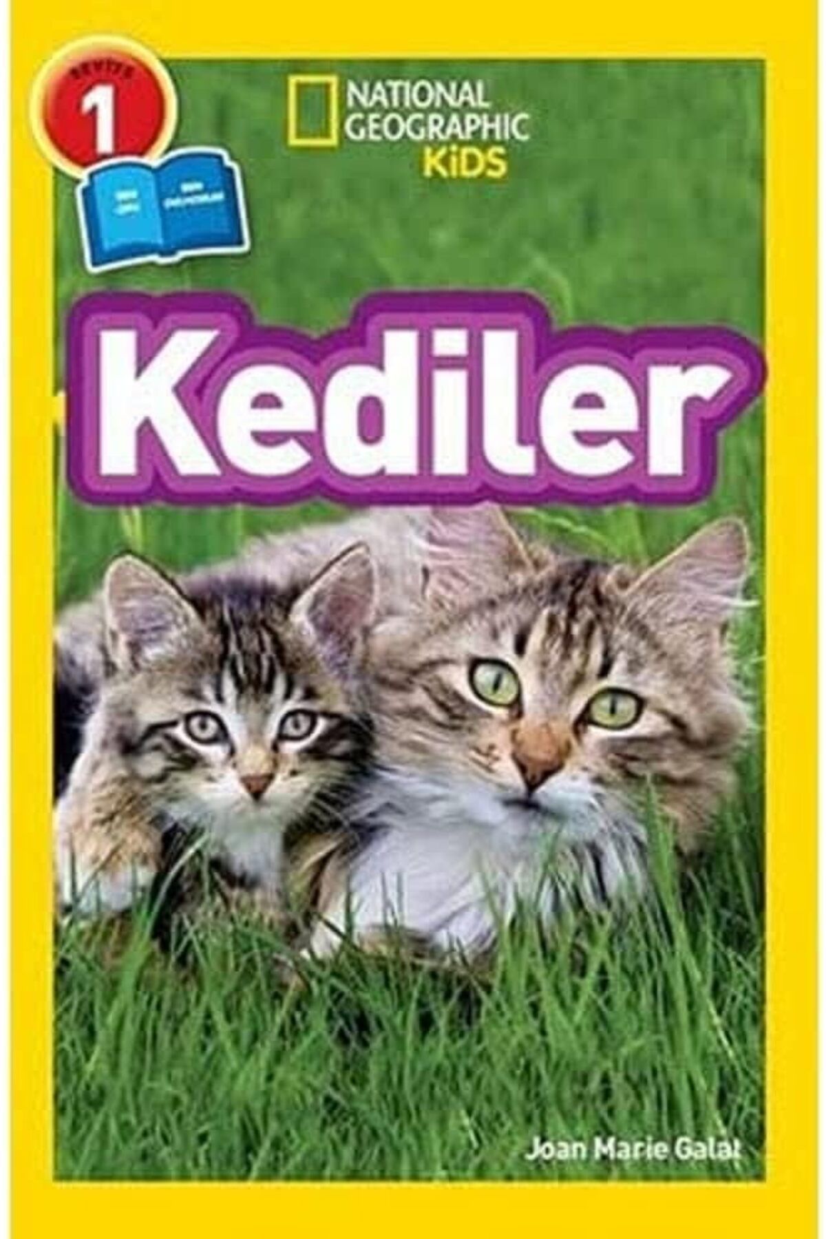 NcK Geographic Kids – Kediler