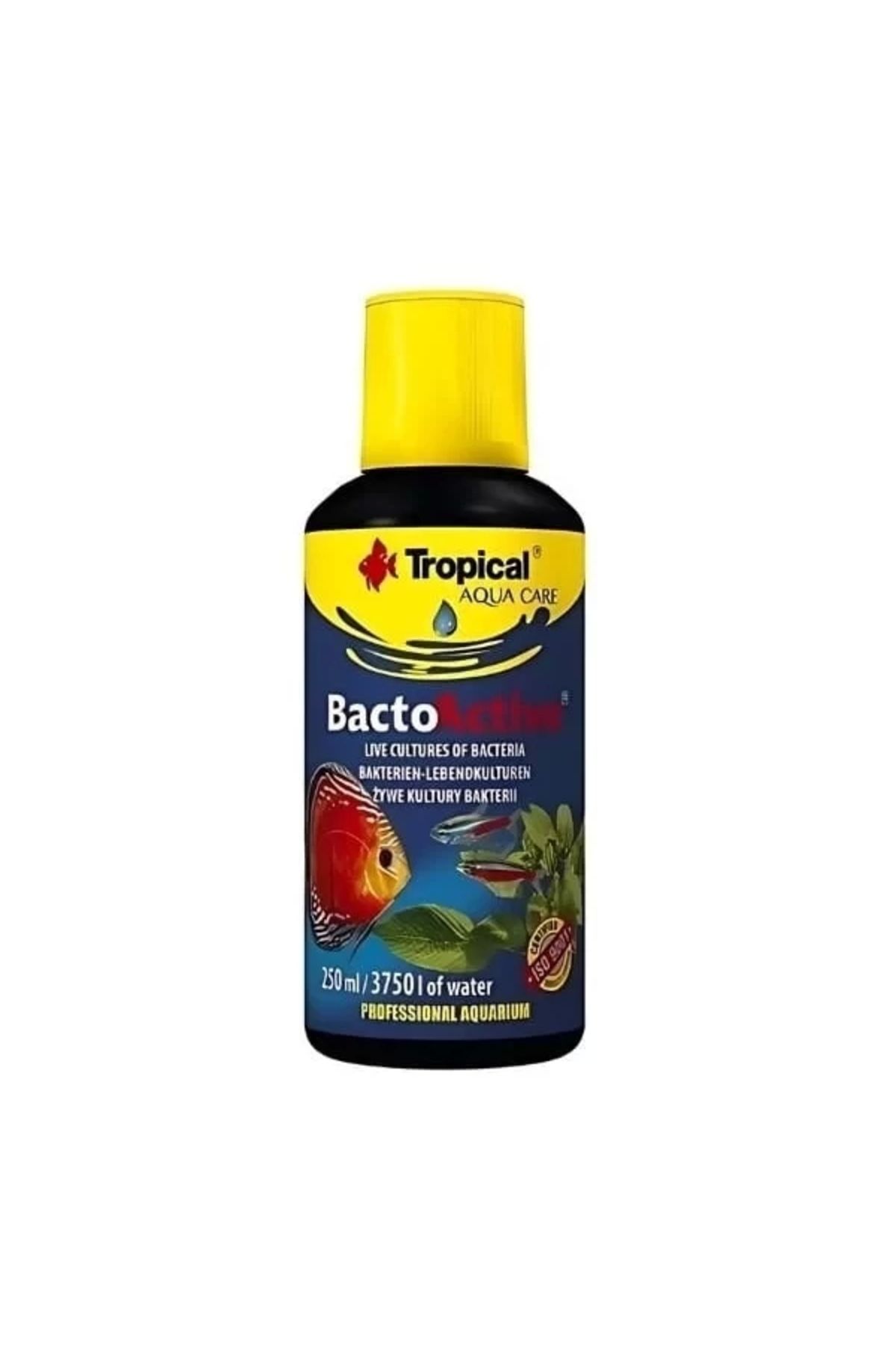 GLIMMERY Tropical Bacto Active Akvaryum Bakteri Kültürü 250 Ml