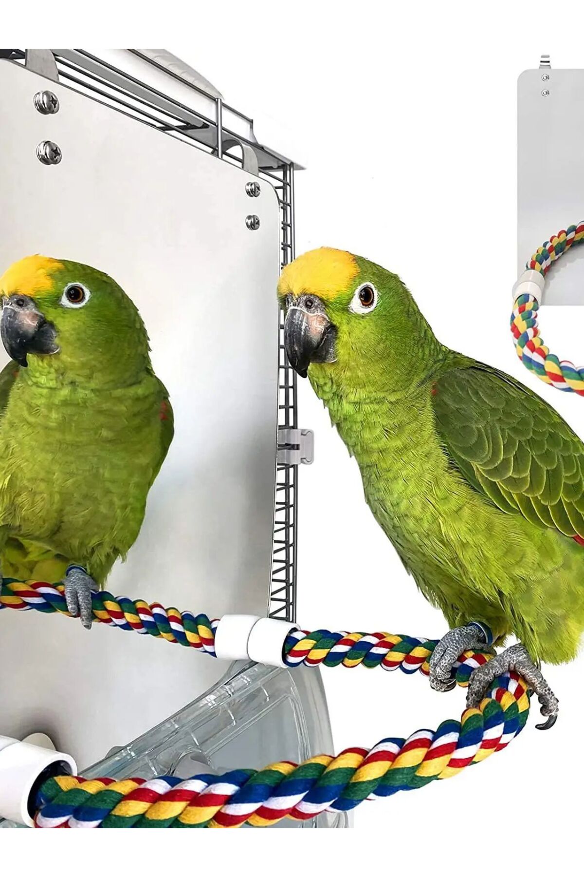Choice Bird Mirror With Perch Cage Swing Toy Macaws Finches Small ...