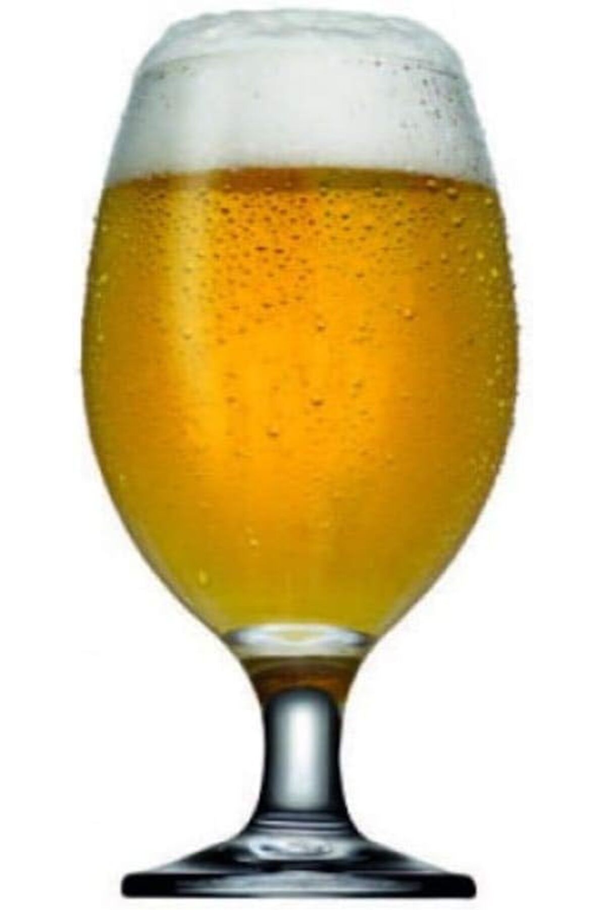 STOREMAX sellbuystore 44417S00 Bistro Bira Bardağı, 6'lı 1053513