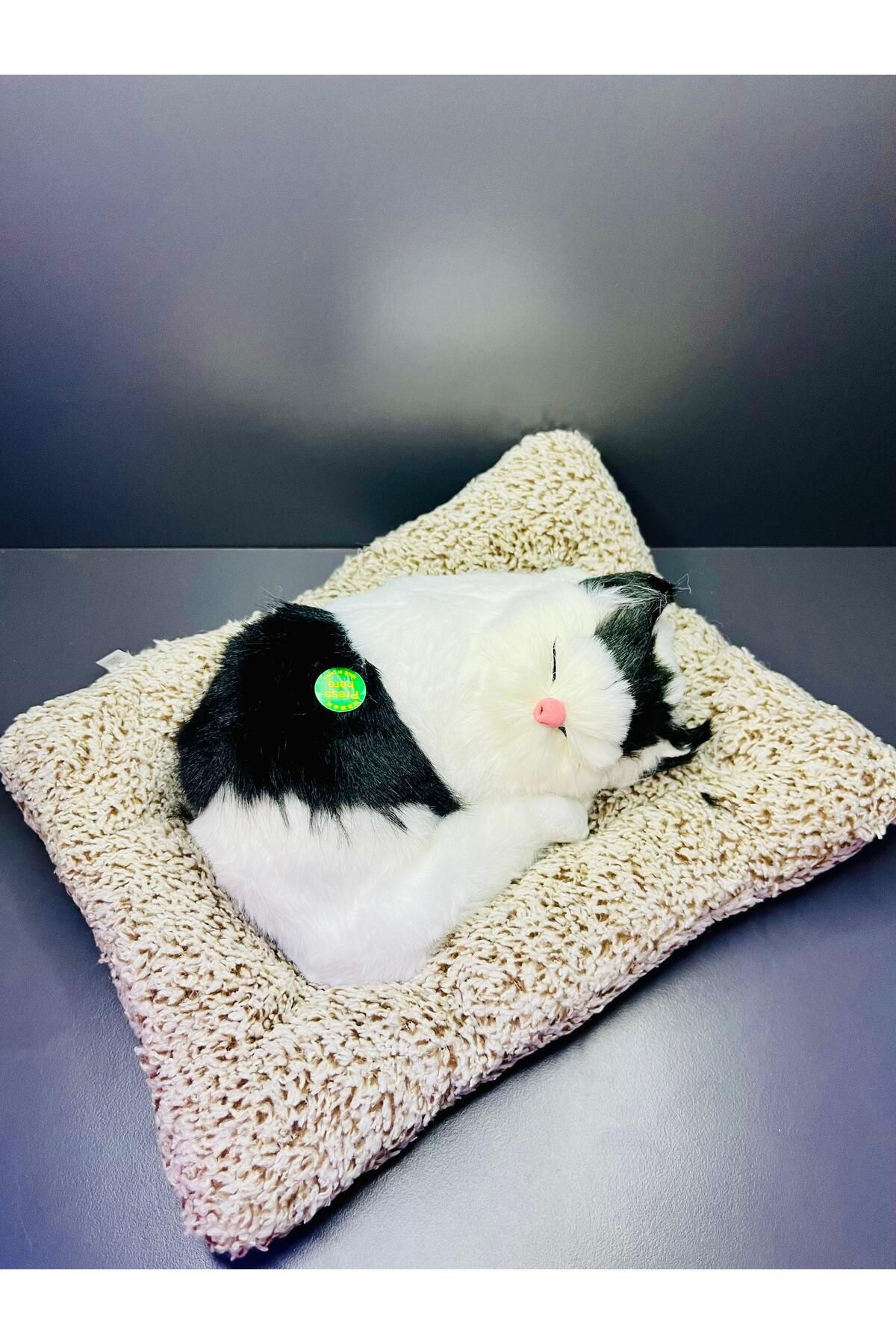 doğan hediyelik Gerçek Görünümlü Sesli Peluş Oyuncak Kedi 17*22 cm