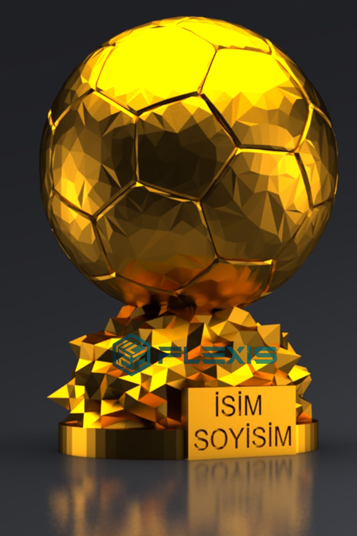 FLEXIS WE MAKE IT POSSIBLE FOR YOU-Customized Ballon Dor 15 cm and Messi World Cup on Your Name 2