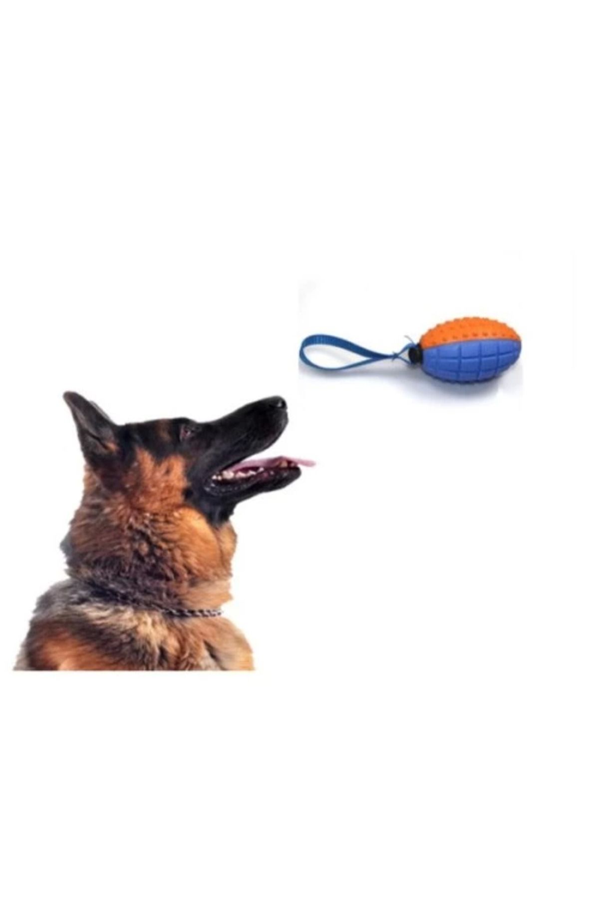 Belle Fusion Köpek Diş Kaşıma Oyun Topu