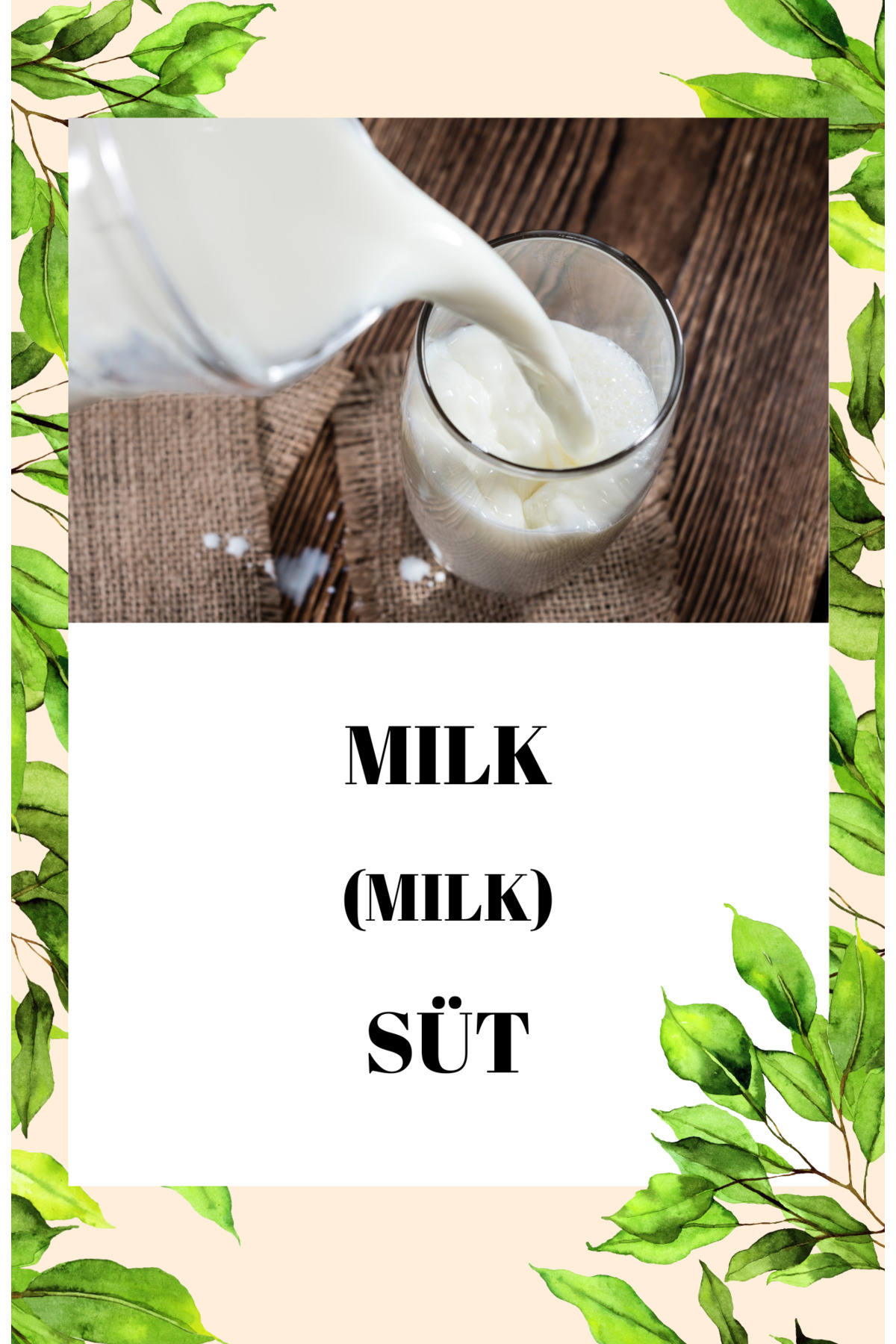 Baby İngilizce Yiyecek/içecek Eğitim Seti Flash Kartları - BLOK 3 fotoğrafı 3 (önizleme)