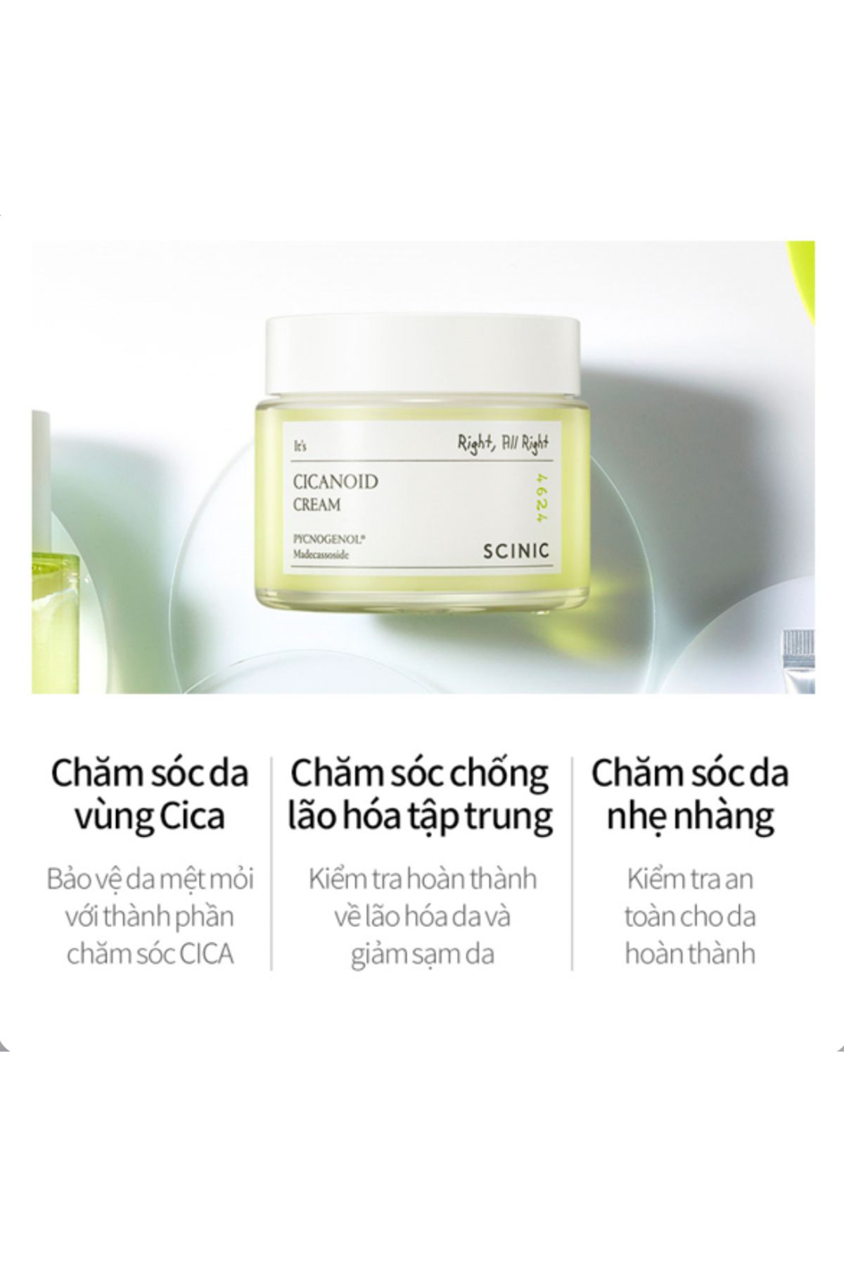 SCINIC-Cicanoid Cream 80ml 3