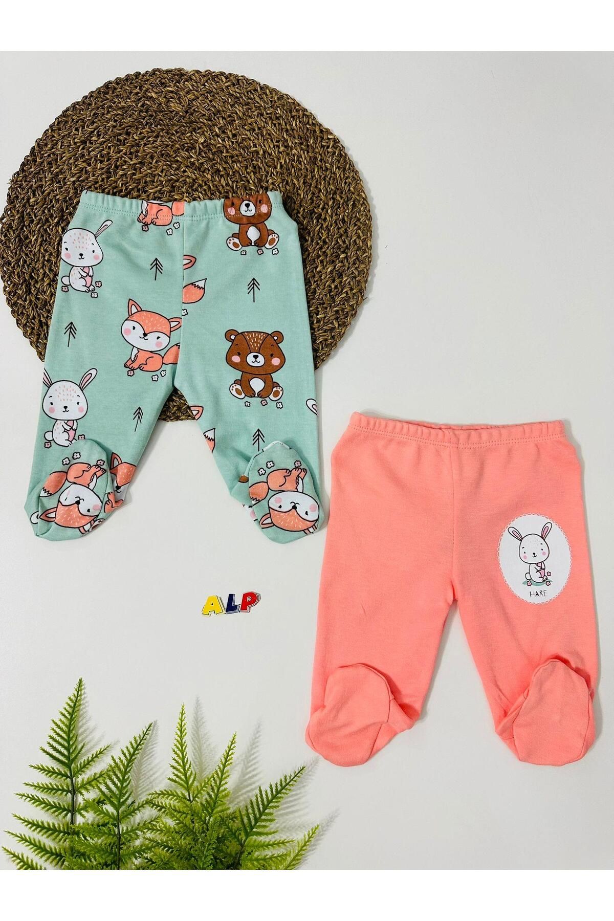 Alpbebe Bear 2 li body Set-Yeşil