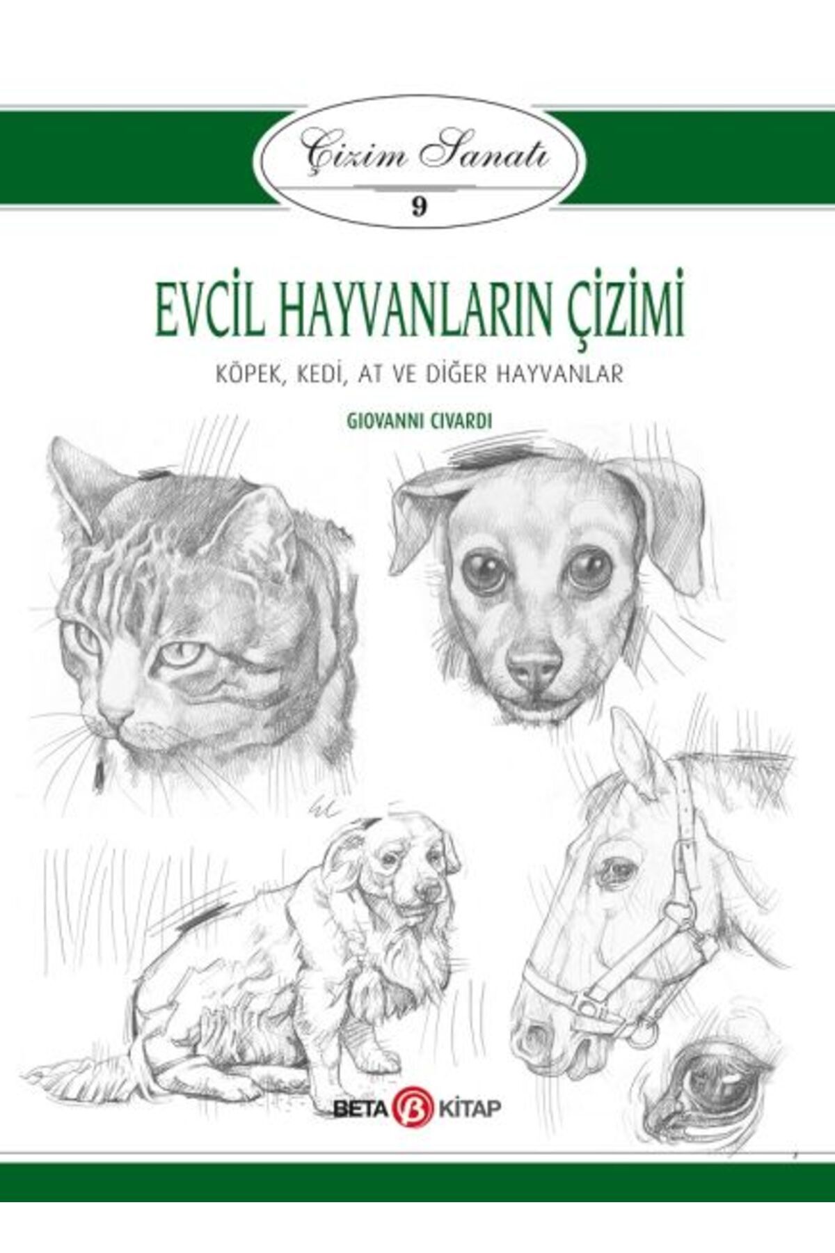 Beta Yayınevi Çizim Sanatı Serisi 9 - Evcil Hayvanların Çizimi