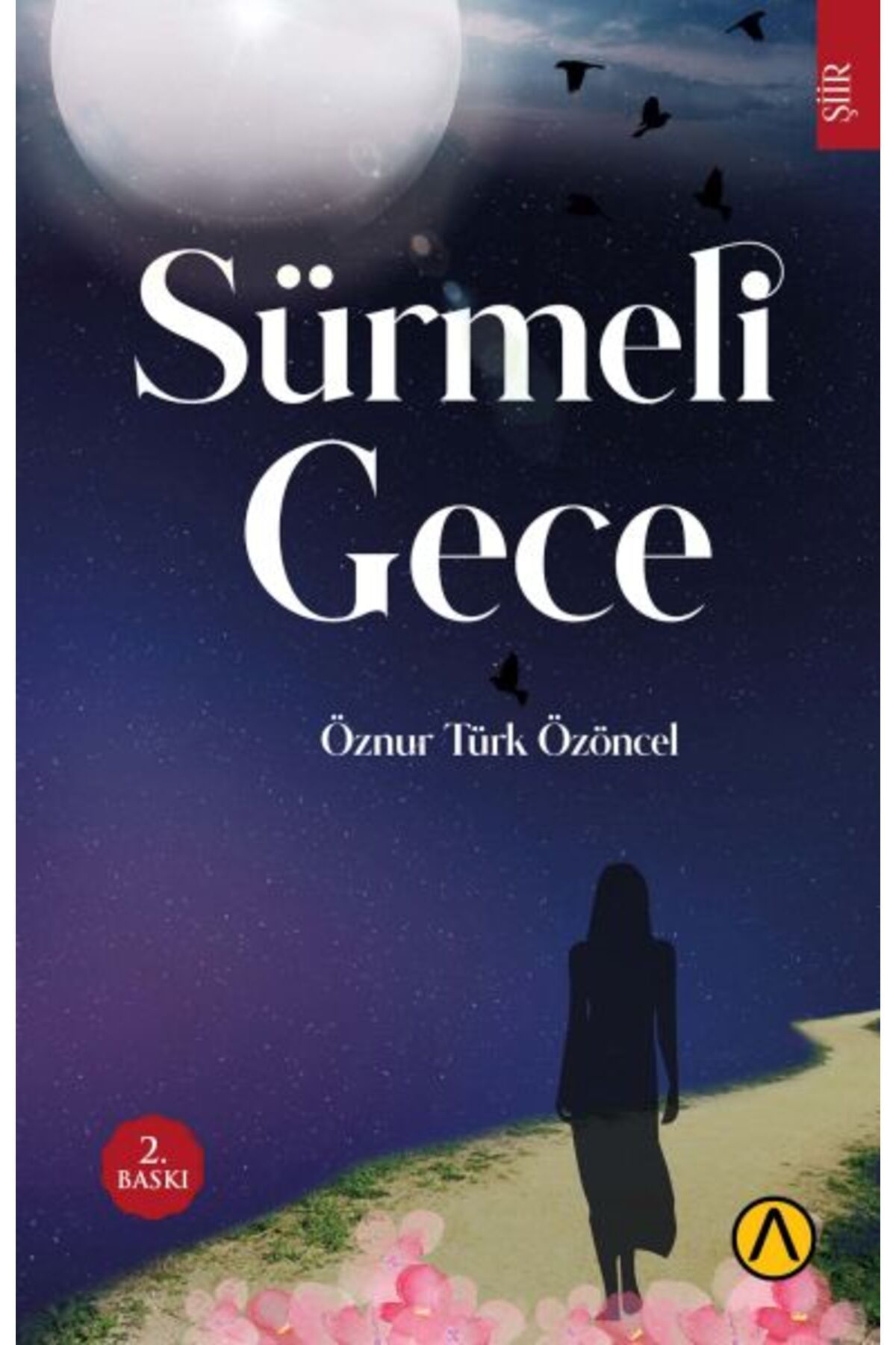 Ares Yayınları Sürmeli Gece