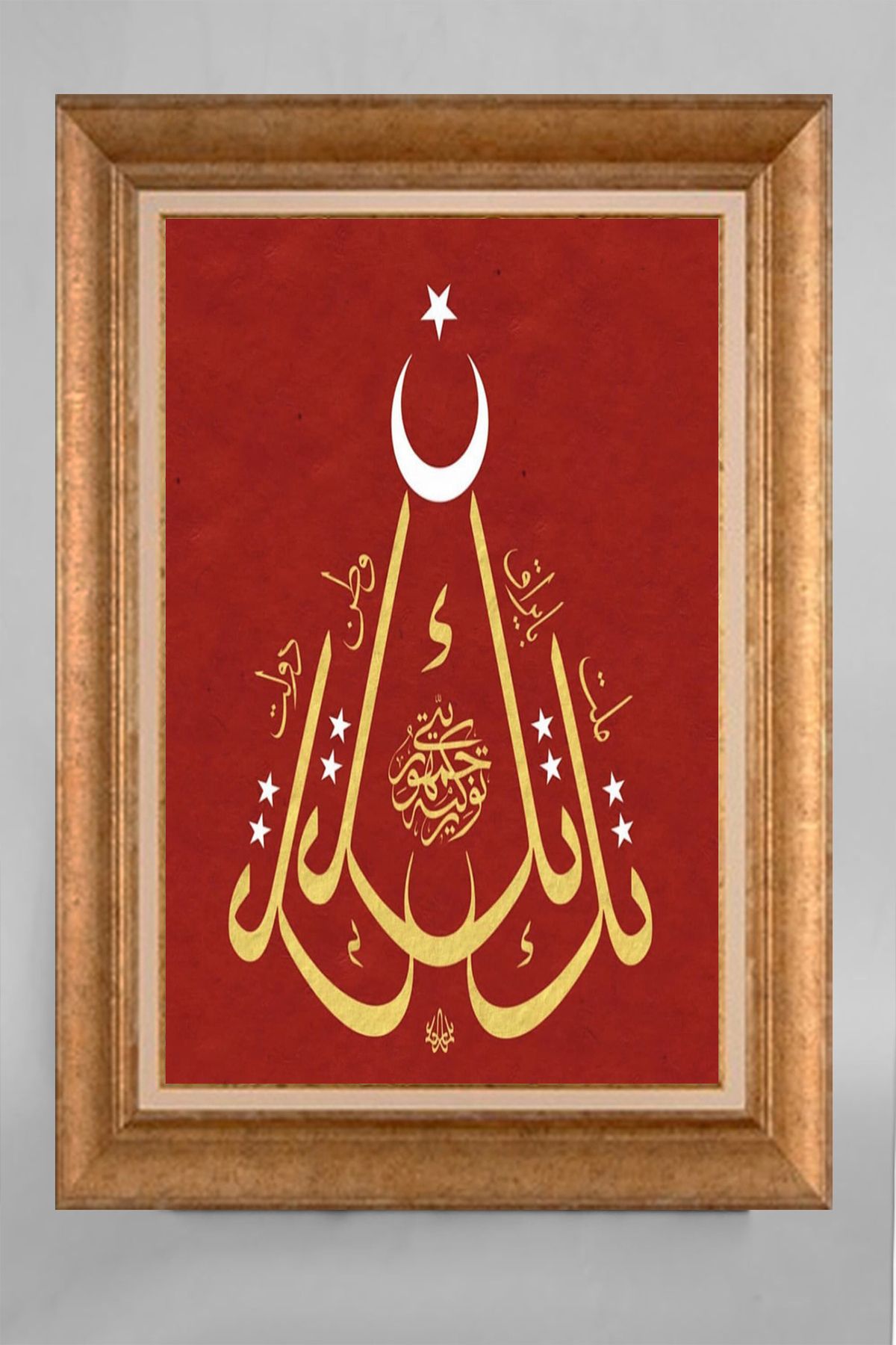 giyense ÖZEL TASARIM ÇERÇEVELİ PASPARTULU TABLO V113