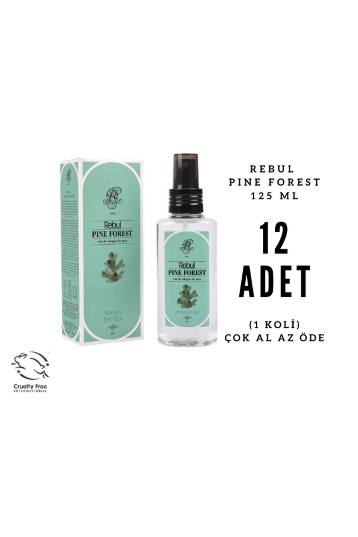 Rebul Pine Forest - Çam Ormanı Edc 125ml Sprey Pet Şişeli Kolonya 12 Adet (1 Koli)