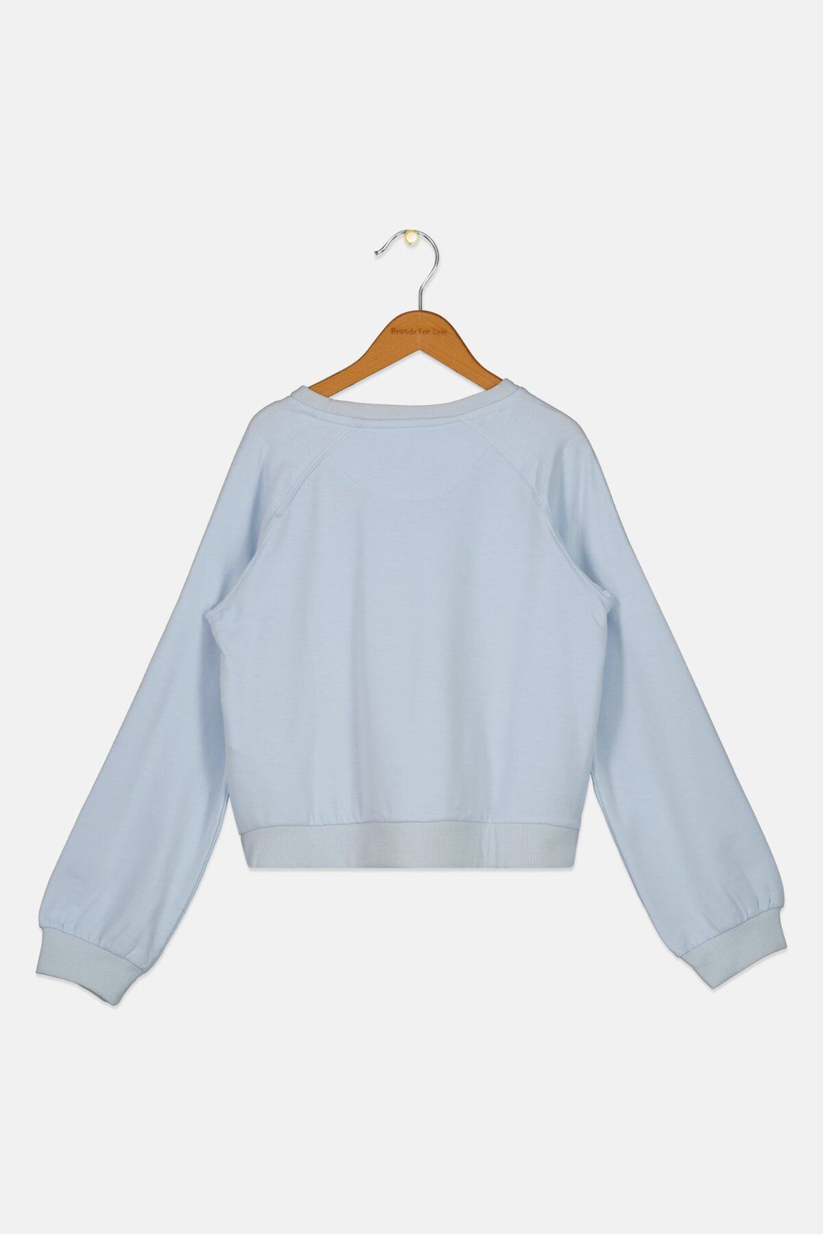 Levi's-Kids Girl Crew Neck Long Sleeves Embroidered Sweatshirts, Sky Blue 2