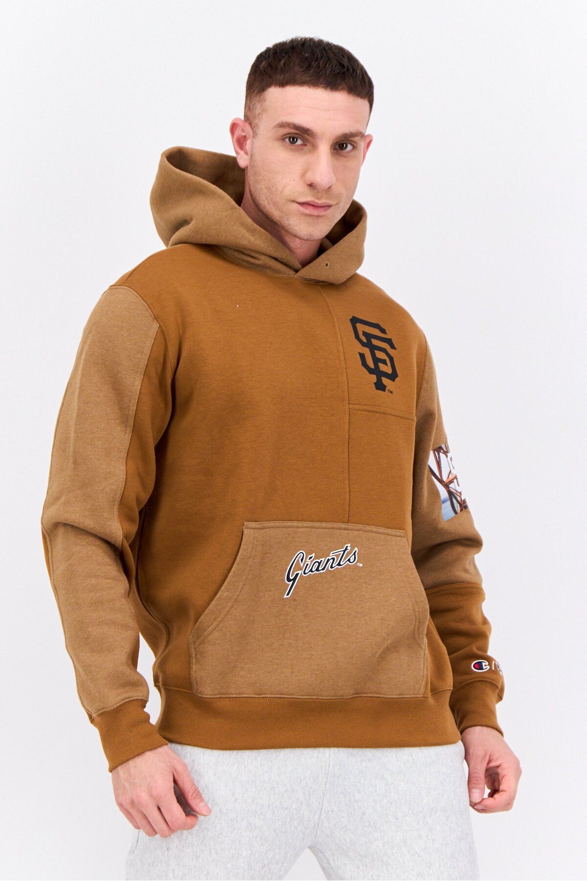 Champion-Men Sportswear Fit Long Sleeves Outdoor Hooded Sweatshirt, Brown 1