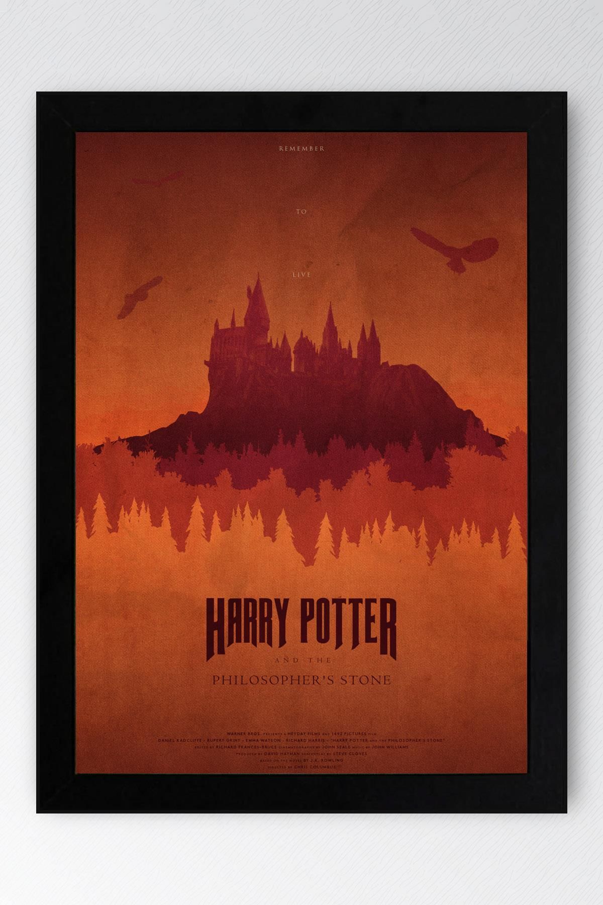 Saturn Harry Potter Çerçeveli Tablo - Film Posteri Tablo