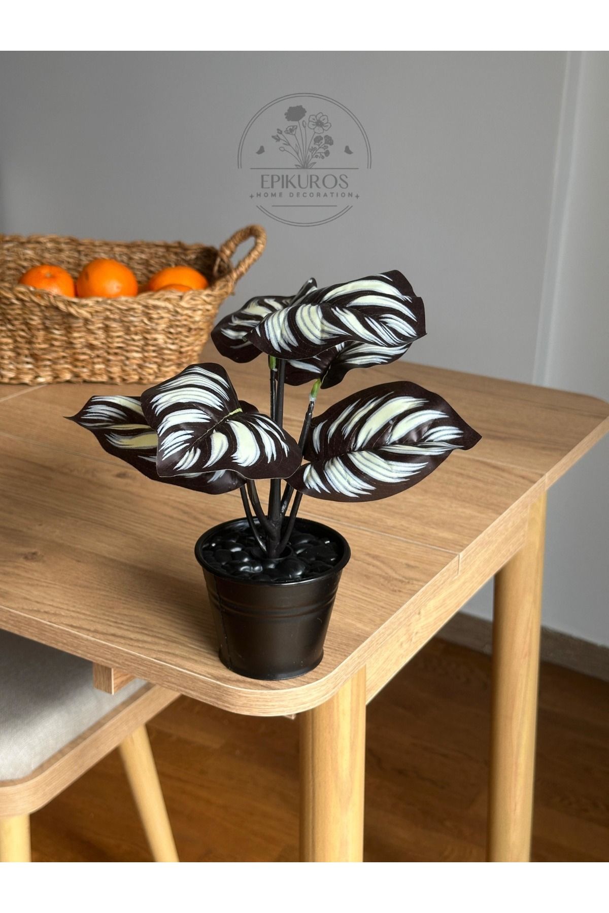 Epikuros Yapay Saksılı Calathea Makoyana Dua Çiçeği - 25 cm