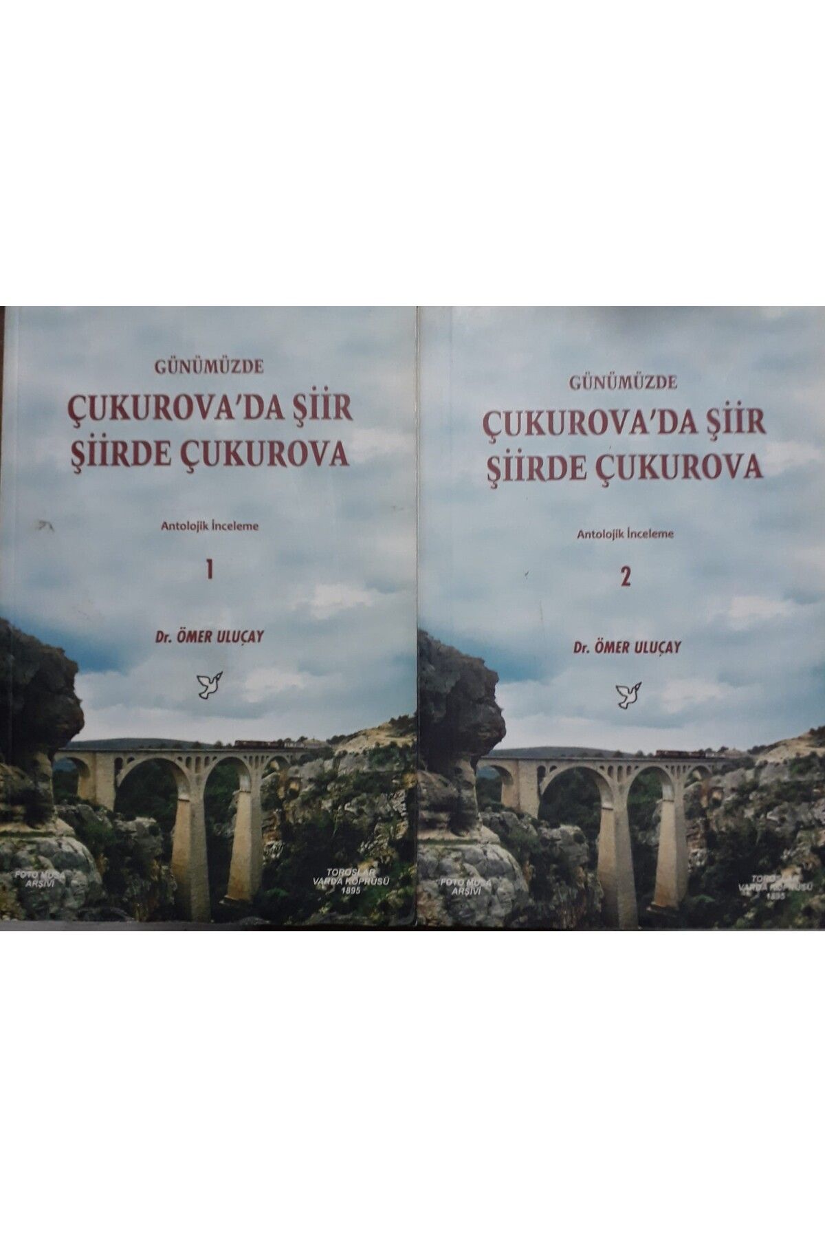 Gözde Yayınları Günümüzde Çukurova'da Şiir Şiirde Çukurova ( 2 Cilt Takım)