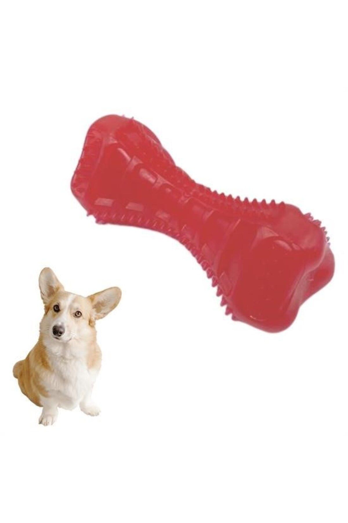 TREND BUFFER® Köpekler İçin Diş Kaşıma Oyuncağı Tırtıklı Yapıda Plastik Dumbell