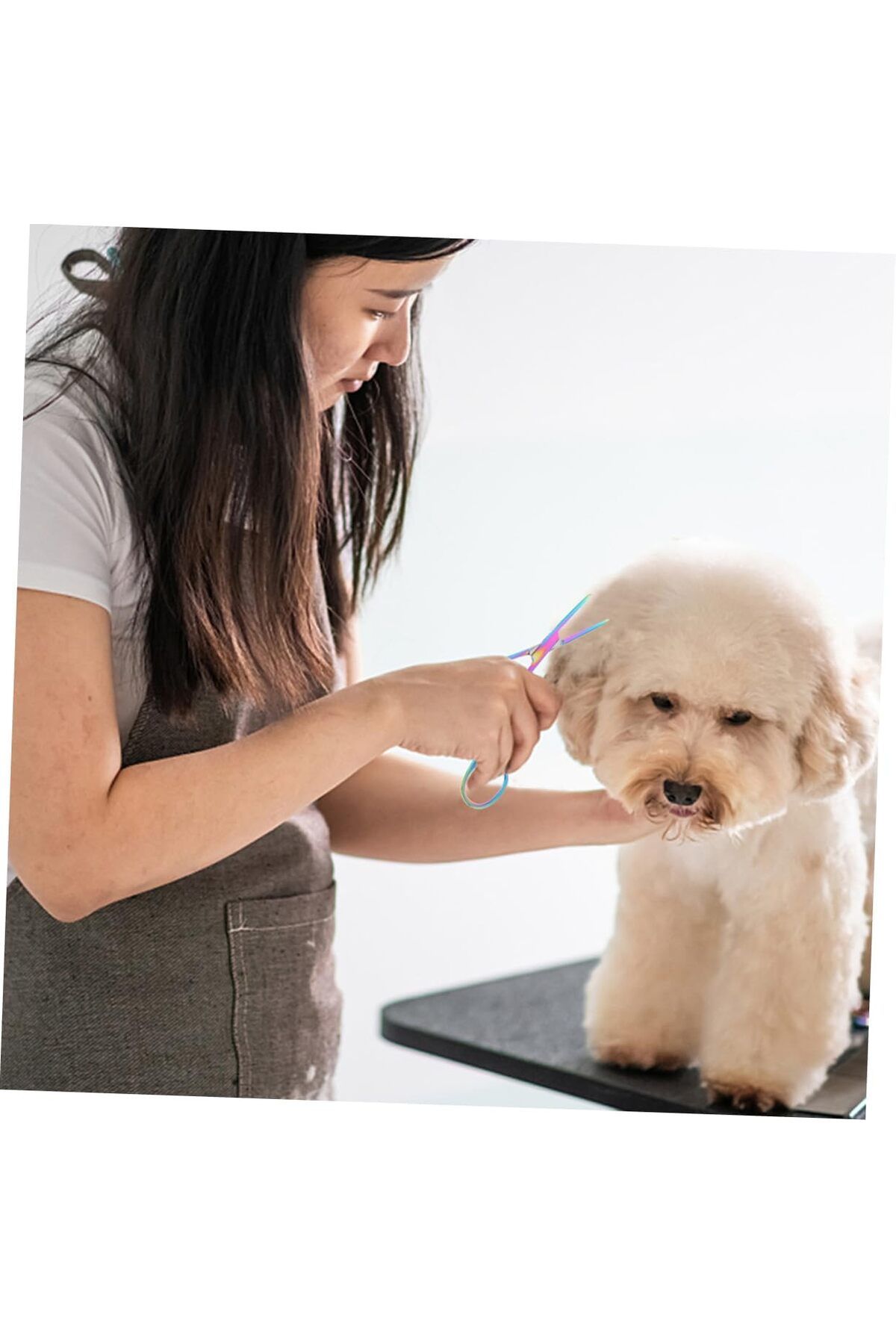 ESENLİWE PetShop Rainbow Kedi Köpek Kulak Saç Kesme Tüy Alma Makası Paslanmaz Çelik