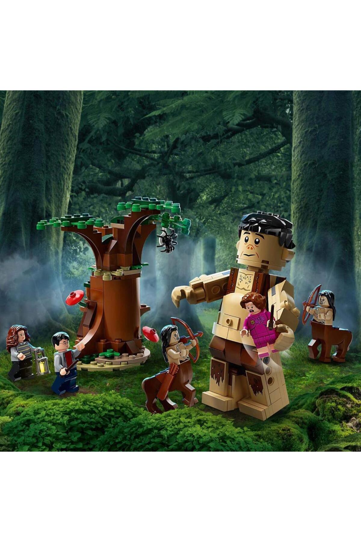 هری پاتر جنگل ممنوعه: رویارویی گراپ و امبریج ۷۵۹۶۷