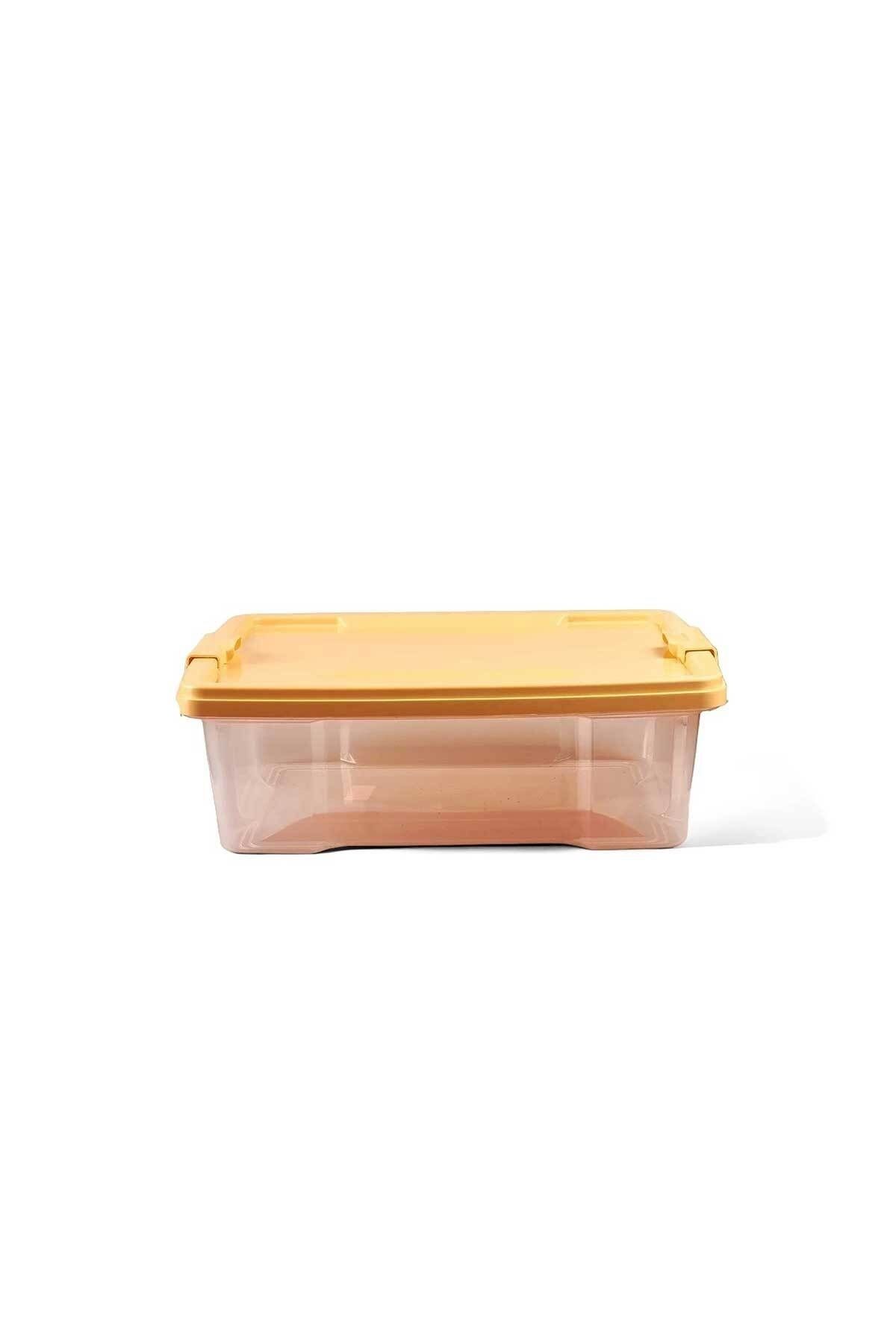 QUTU-Q-Lear Box 12 L Clear Storage Box with Lock 3