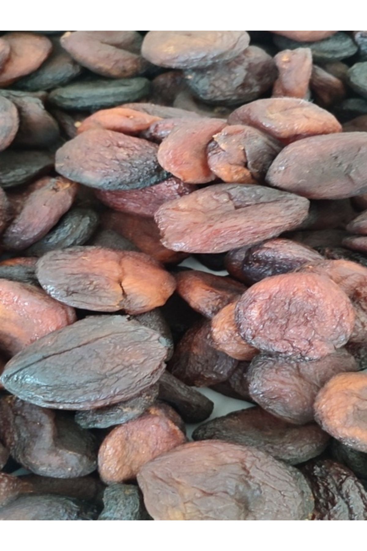 Doğal GÜN KURUSU KAYISI (1 kg) (jumbo)