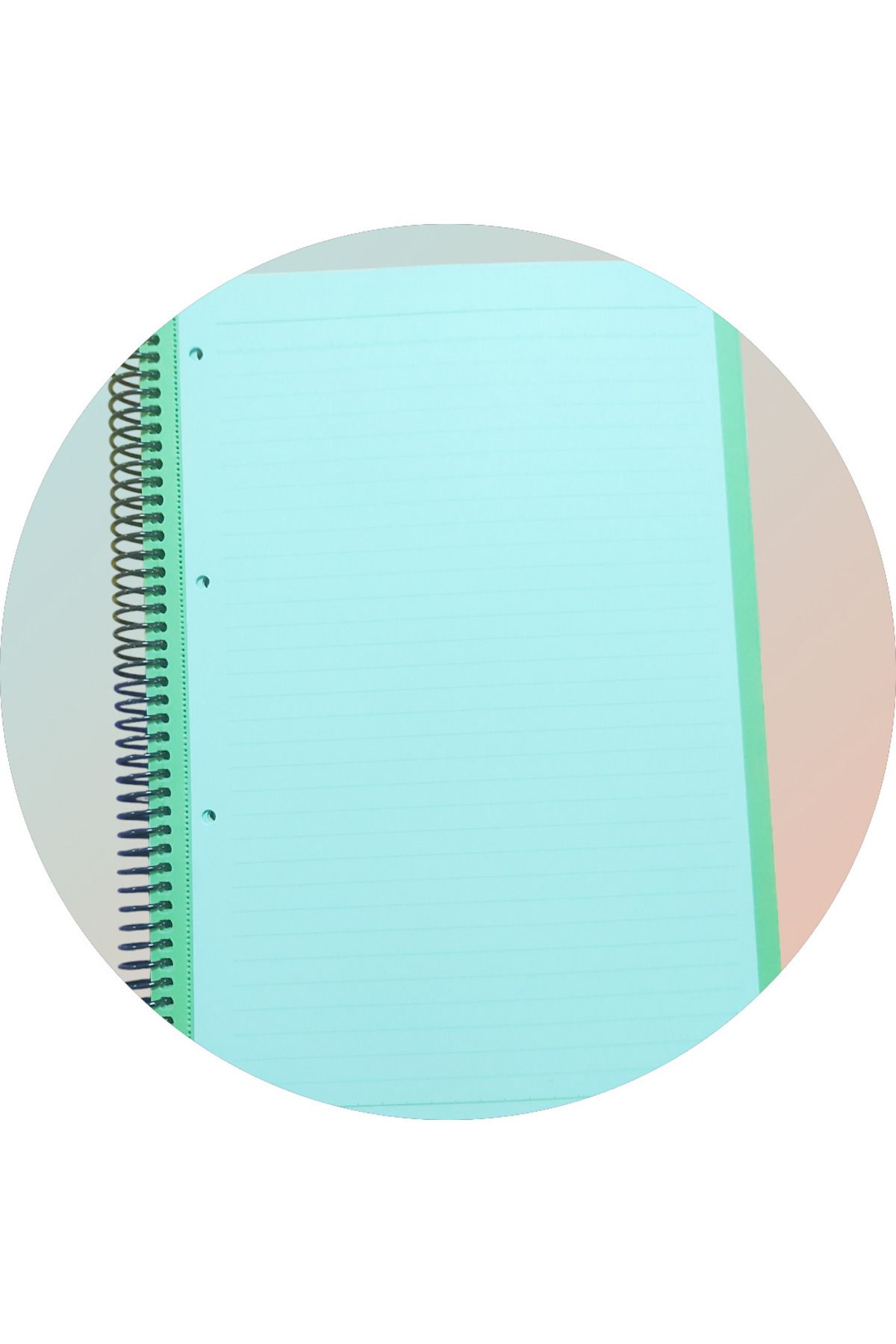 Gıpta-Pass Color Notes A4 (6 Internal Colours 120Yp Lines) 3