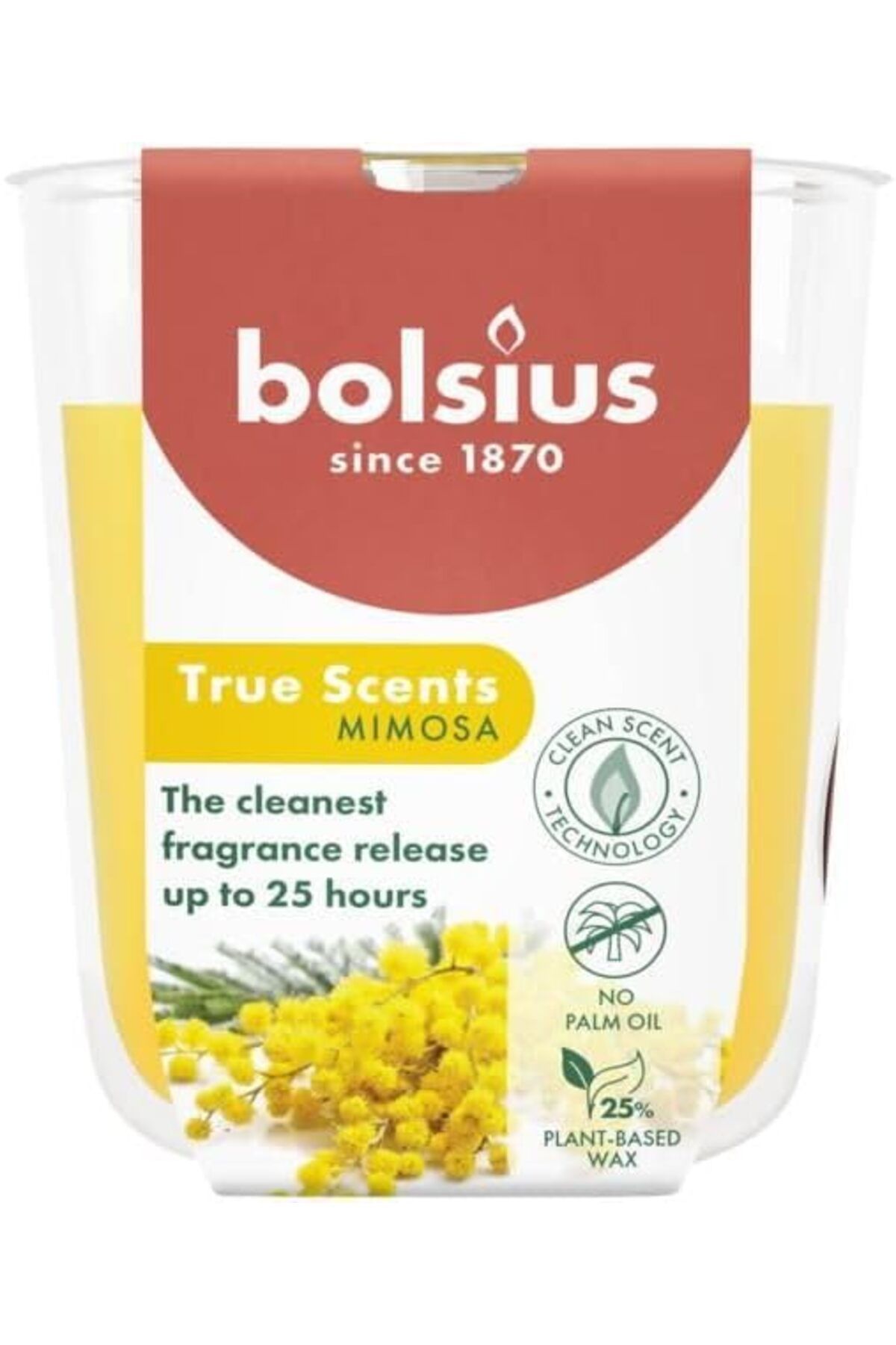 STOREMAX mrttnca Mimosa Kokulu Bardakta Mum - Vegan & Doğal & Saf Koku Özlü -Palmiye Yağı İçermez - 25