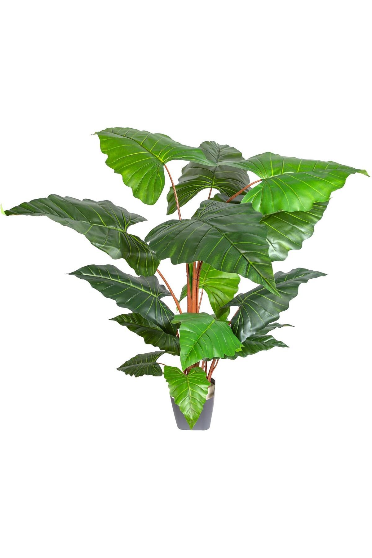 STOREMAX httphop Yapay Alocasia - Fil Kulağı Ağacı Gerçek Dokulu 16 Yaprak 150 Cm. NewDesingshop 109244