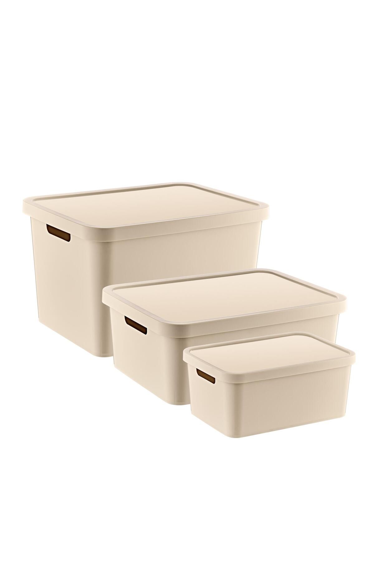 Smartware-Set of 3 Stafi Box with Lid Latte (4,5-12-18 Lt) 1