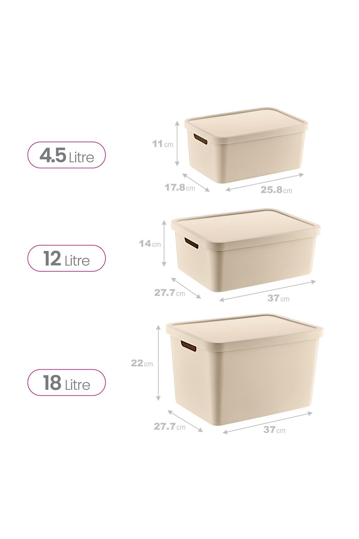 Smartware-Set of 3 Stafi Box with Lid Latte (4,5-12-18 Lt) 6