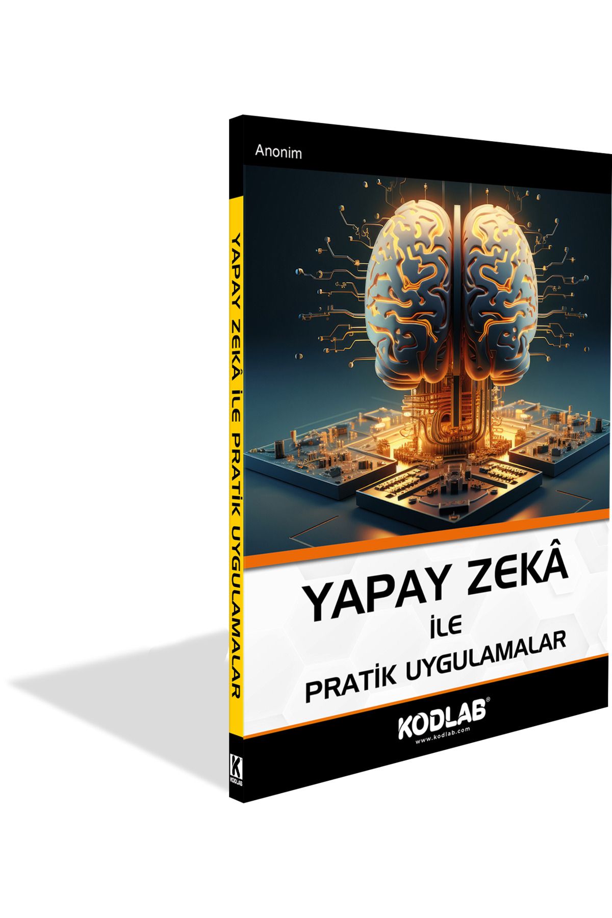 Kodlab Yayın Dağıtım YAPAY ZEKA ile PRATİK UYGULAMALAR