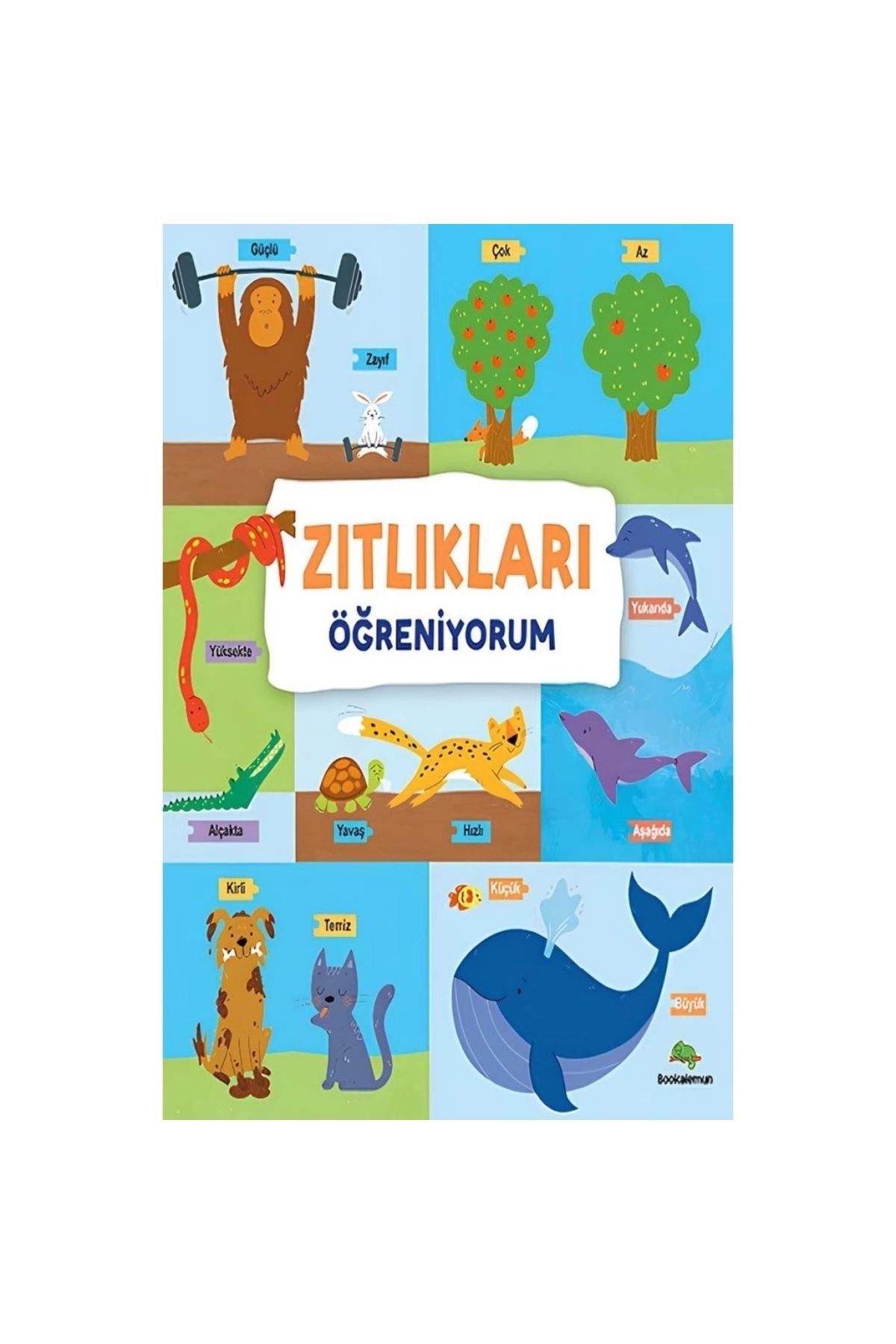 NessiWorld Zıtlıkları Öğreniyorum