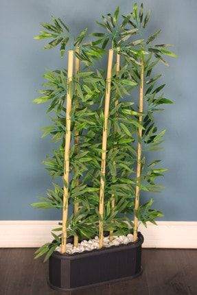 Dekoratif Saksıda Islak Yapraklı 5 Çubuklu Bambu Seperatör (20x50x135cm) YPCCK-FKYT-674