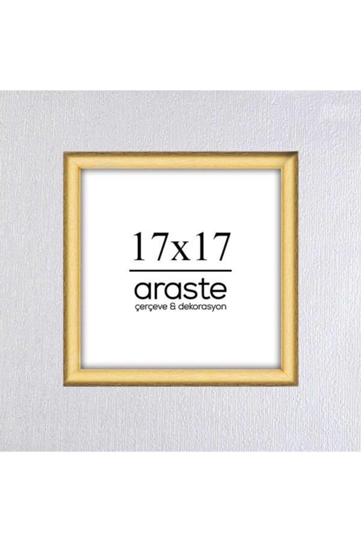 Araste 17x17 Çerçeve ( Postersiz ) - Bos1007