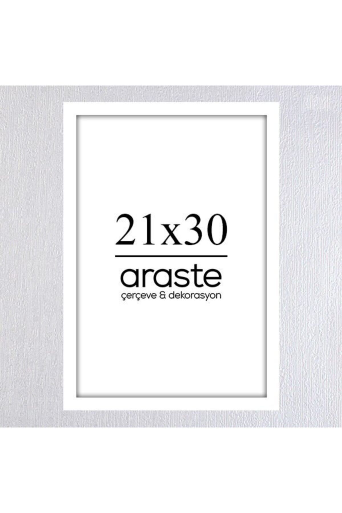 Araste 21x30 Çerçeve ( Postersiz ) - Bos1005