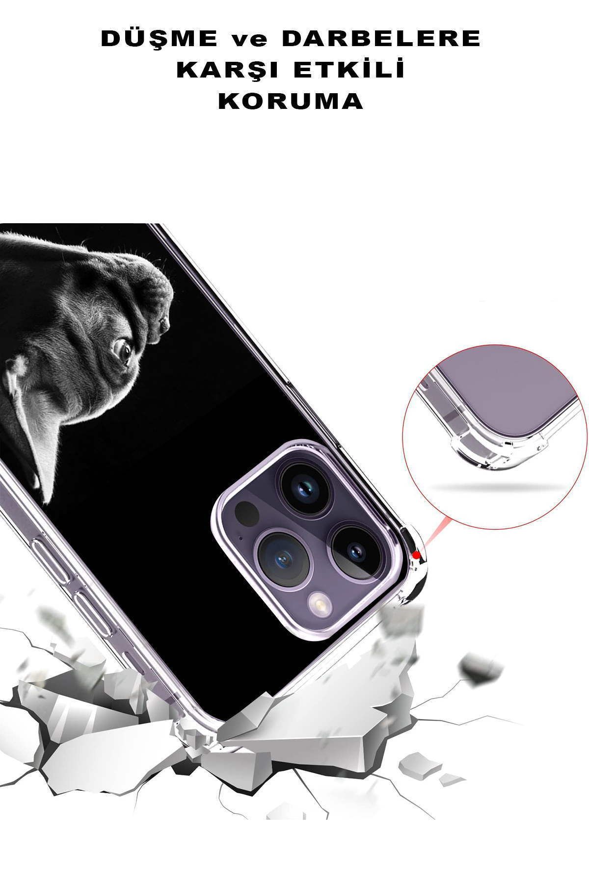PrintiFy Samsung Galaxy A36 ile Uyumlu Kedi 4 Baskılı Şeffaf Köşe Korumalı Antişok Kılıf