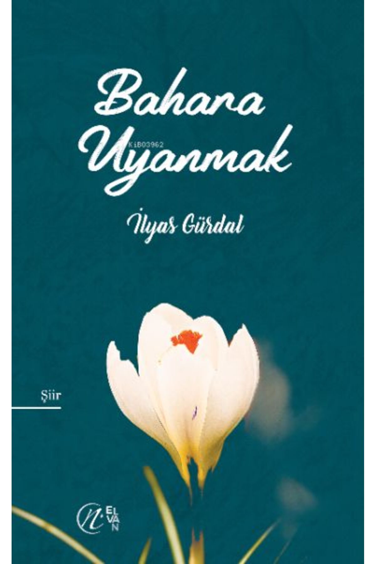 Destek Yayınları Bahara Uyanmak
